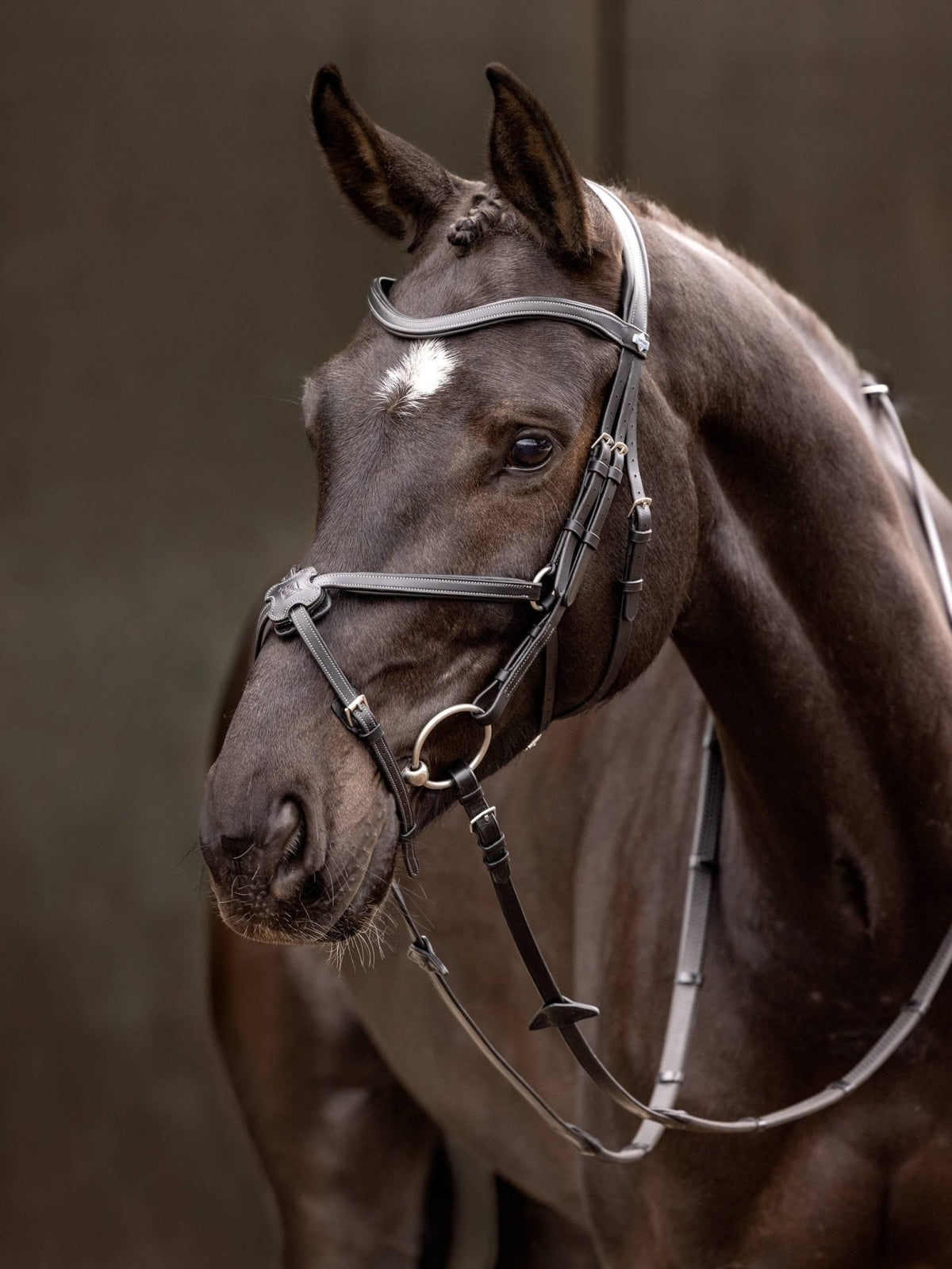 Lemieux Arika Grackle Bridle - Nags Essentials