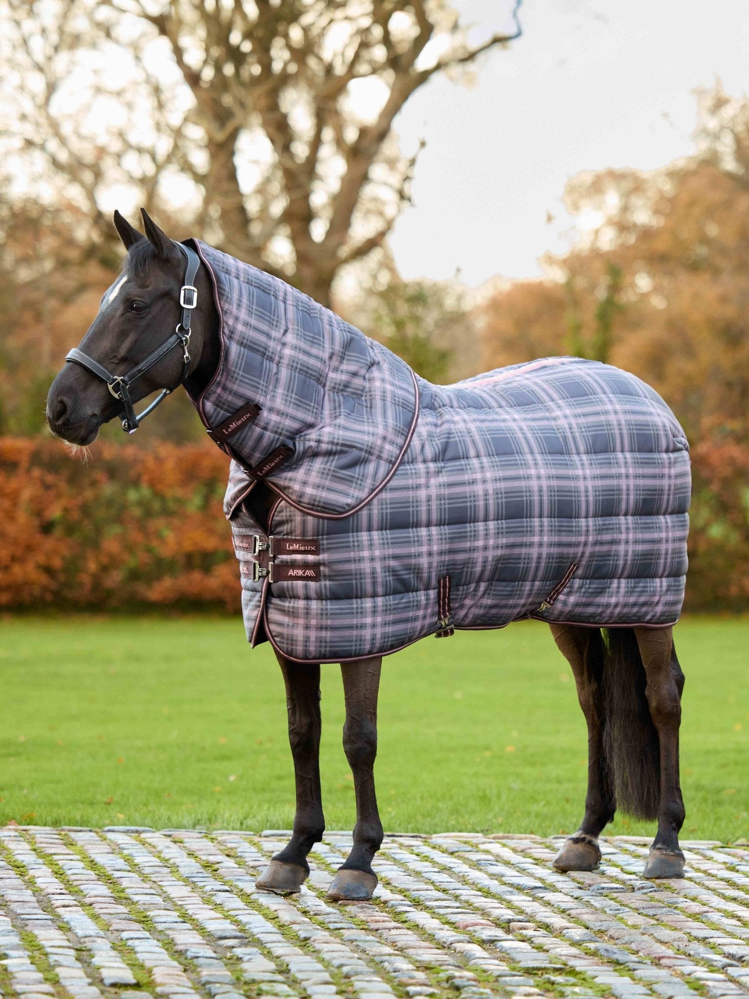 LeMieux Arika Heritage Check Stable Rug with Neck 200g - Cocoa - Nags Essentials