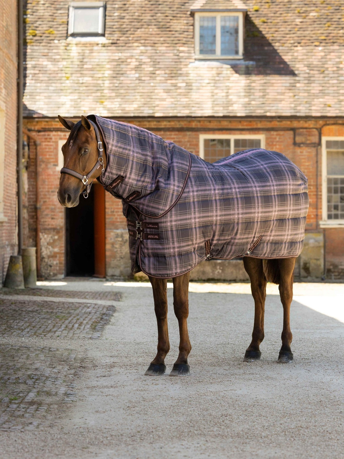 LeMieux Arika Heritage Check Stable Rug with Neck 200g - Cocoa - Nags Essentials