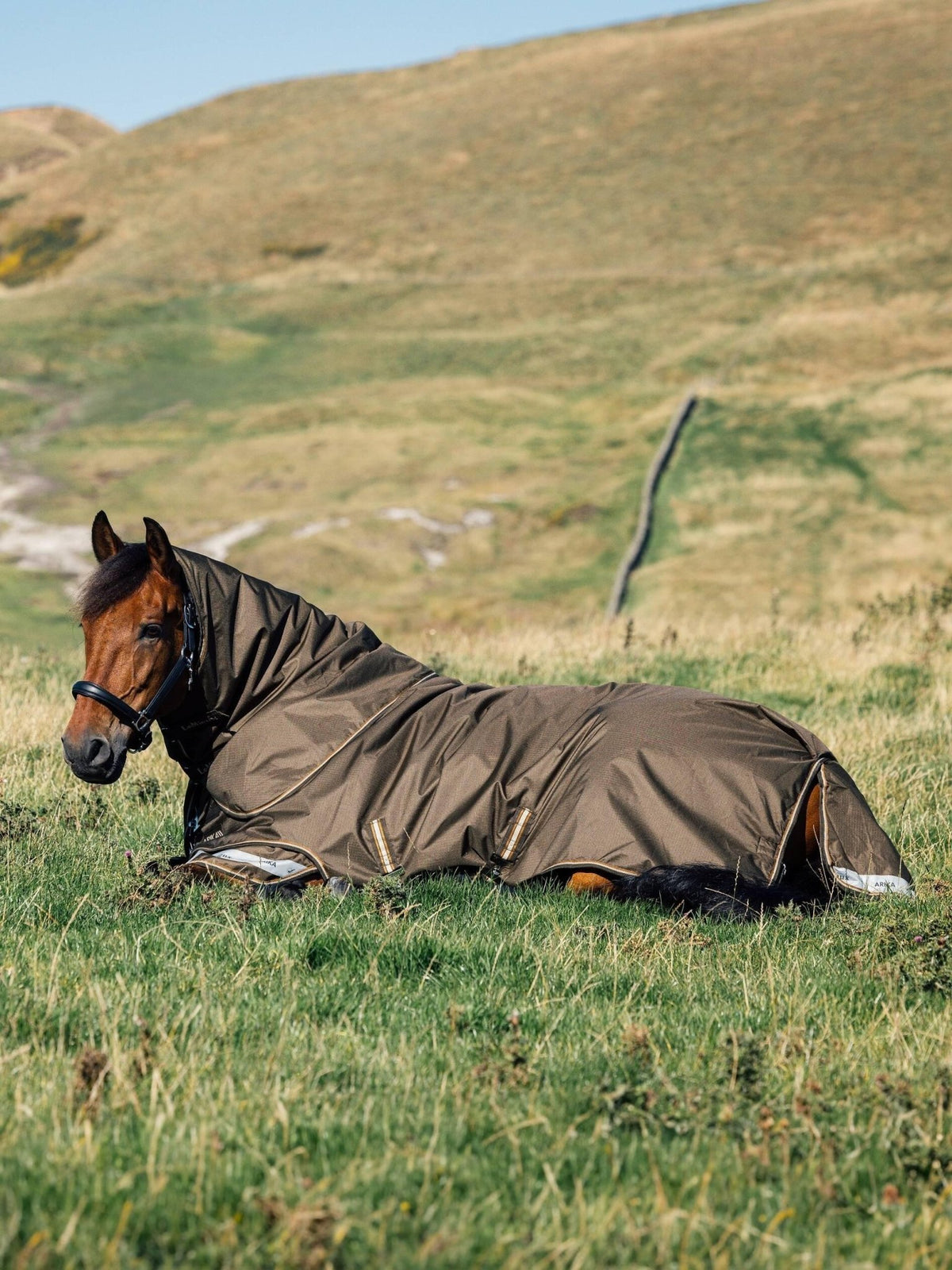 LeMieux Arika Ripstop 100g Turnout Rug - Alpine - Nags Essentials