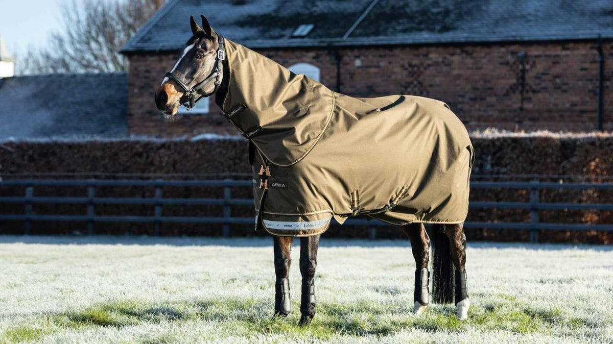LeMieux Arika Ripstop 200g Turnout Rug - Alpine - Nags Essentials