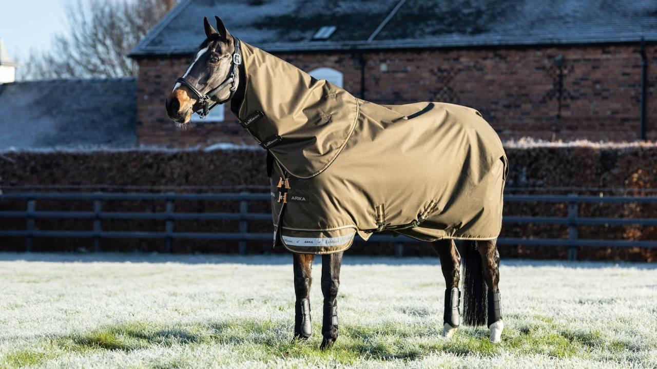 LeMieux Arika Ripstop 200g Turnout Rug - Alpine - Nags Essentials