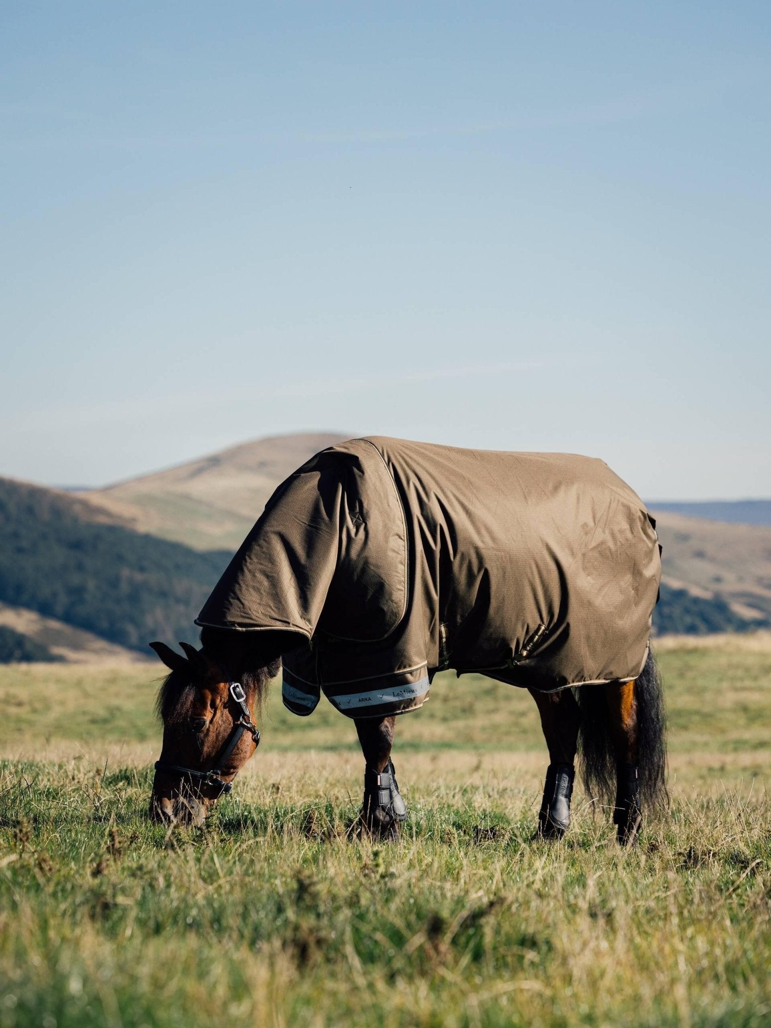 LeMieux Arika Ripstop 50g Turnout Rug - Alpine - Nags Essentials
