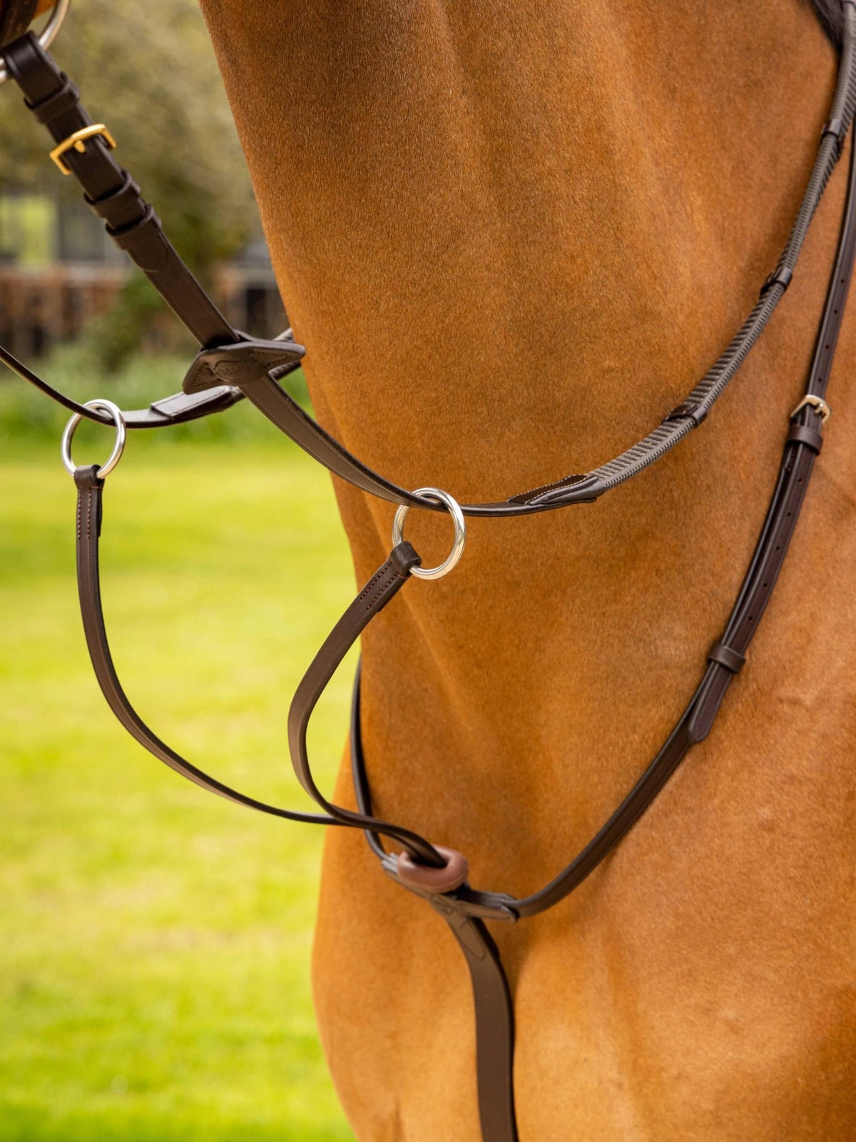 Lemieux Arika Running Martingale - Nags Essentials