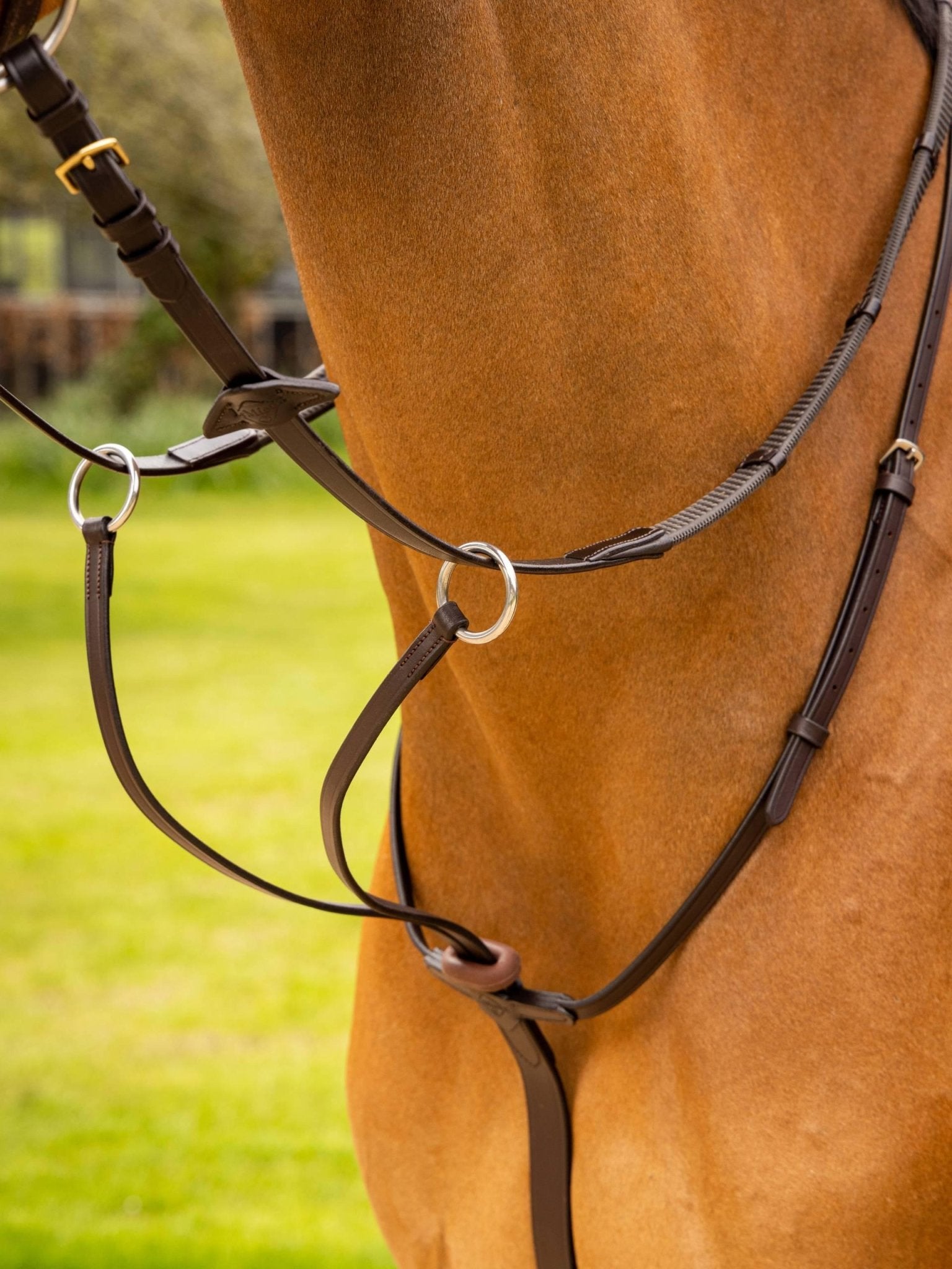 Lemieux Arika Running Martingale - Nags Essentials