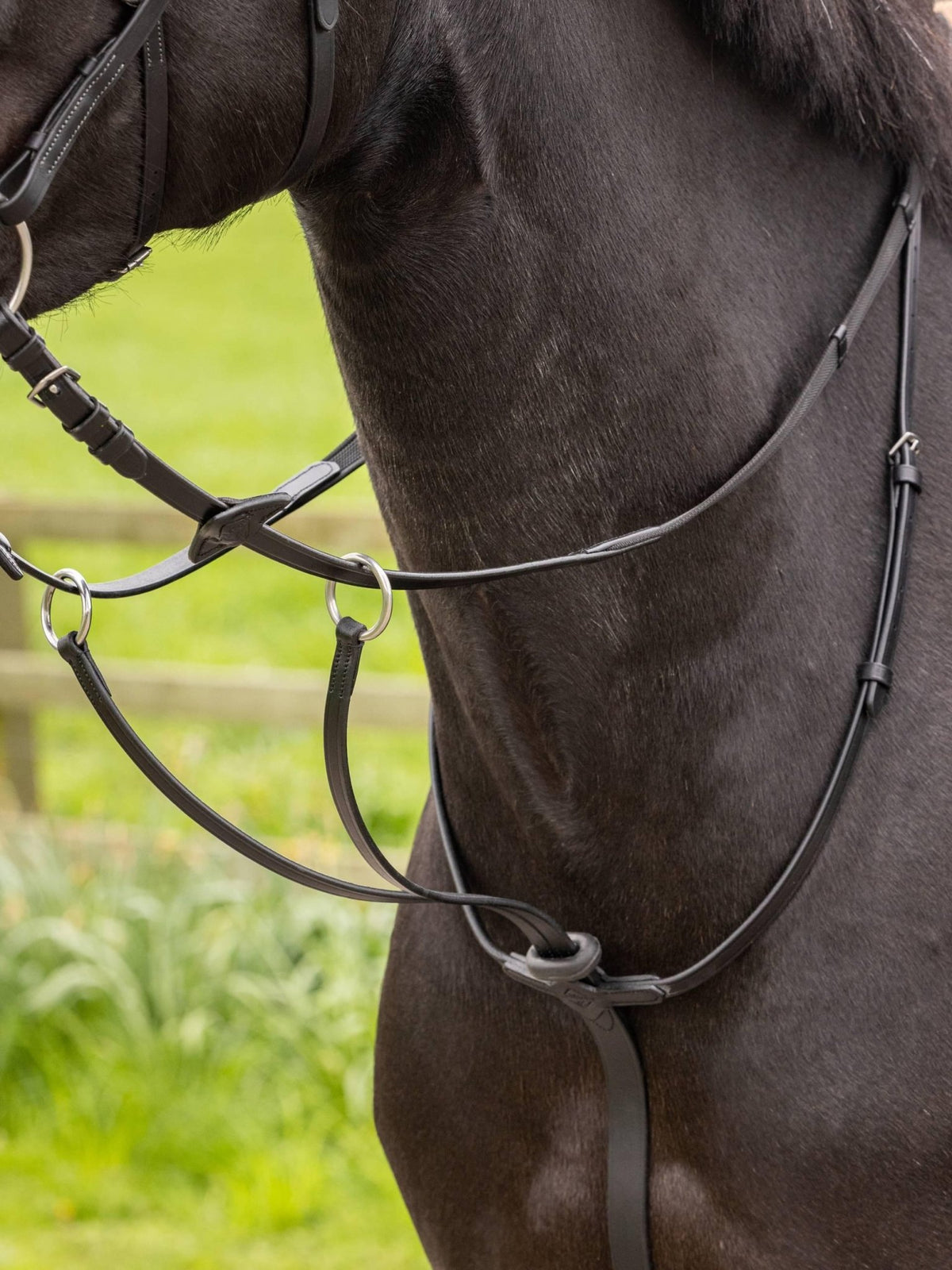 Lemieux Arika Running Martingale - Nags Essentials
