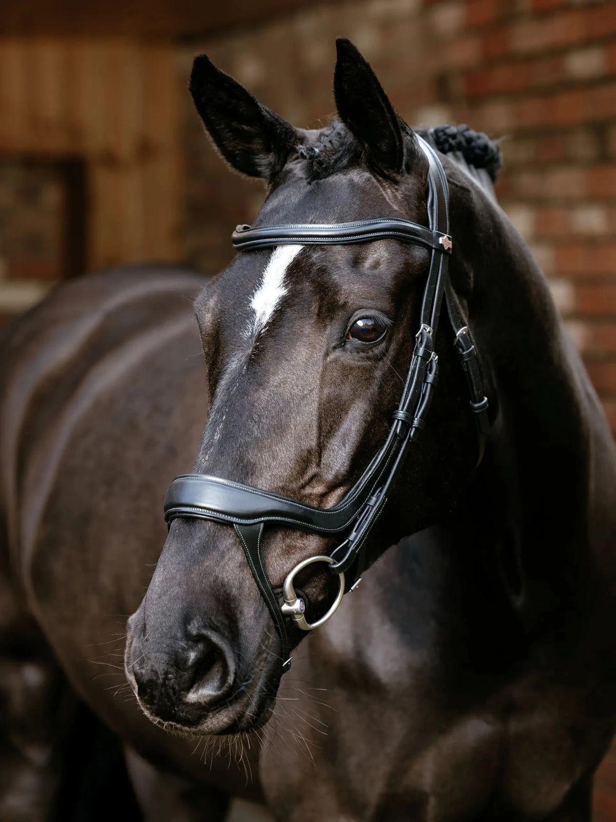 LeMieux Arika Split Noseband Bridle - Nags Essentials
