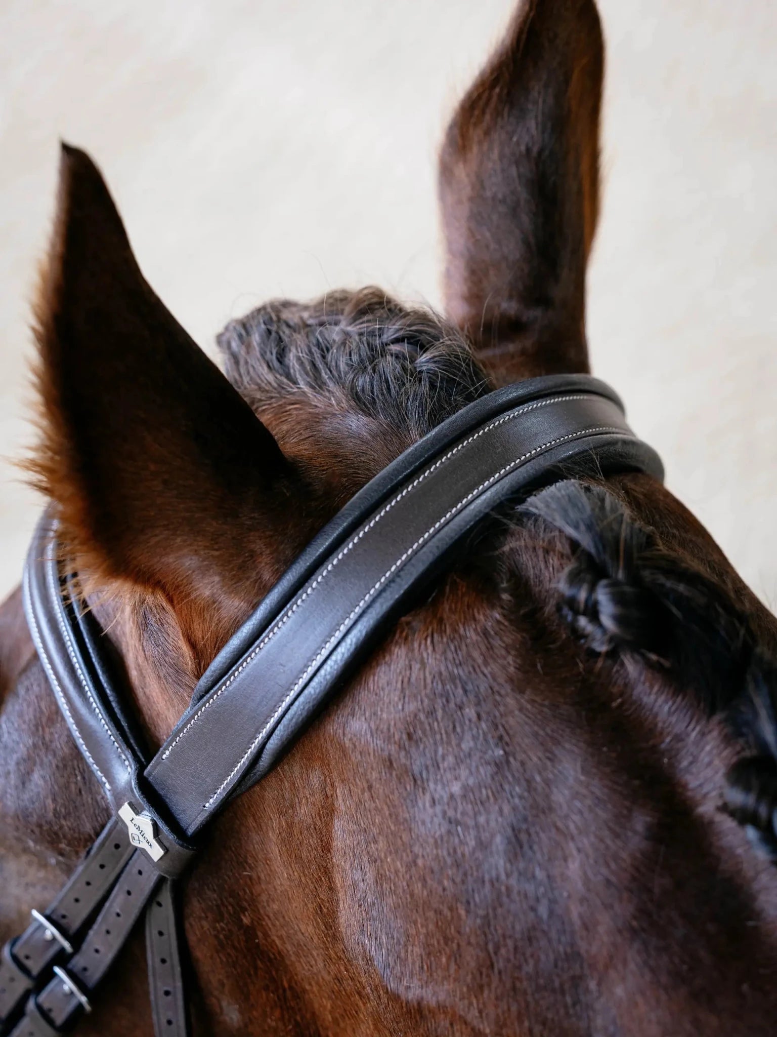 LeMieux Arika Split Noseband Bridle - Nags Essentials