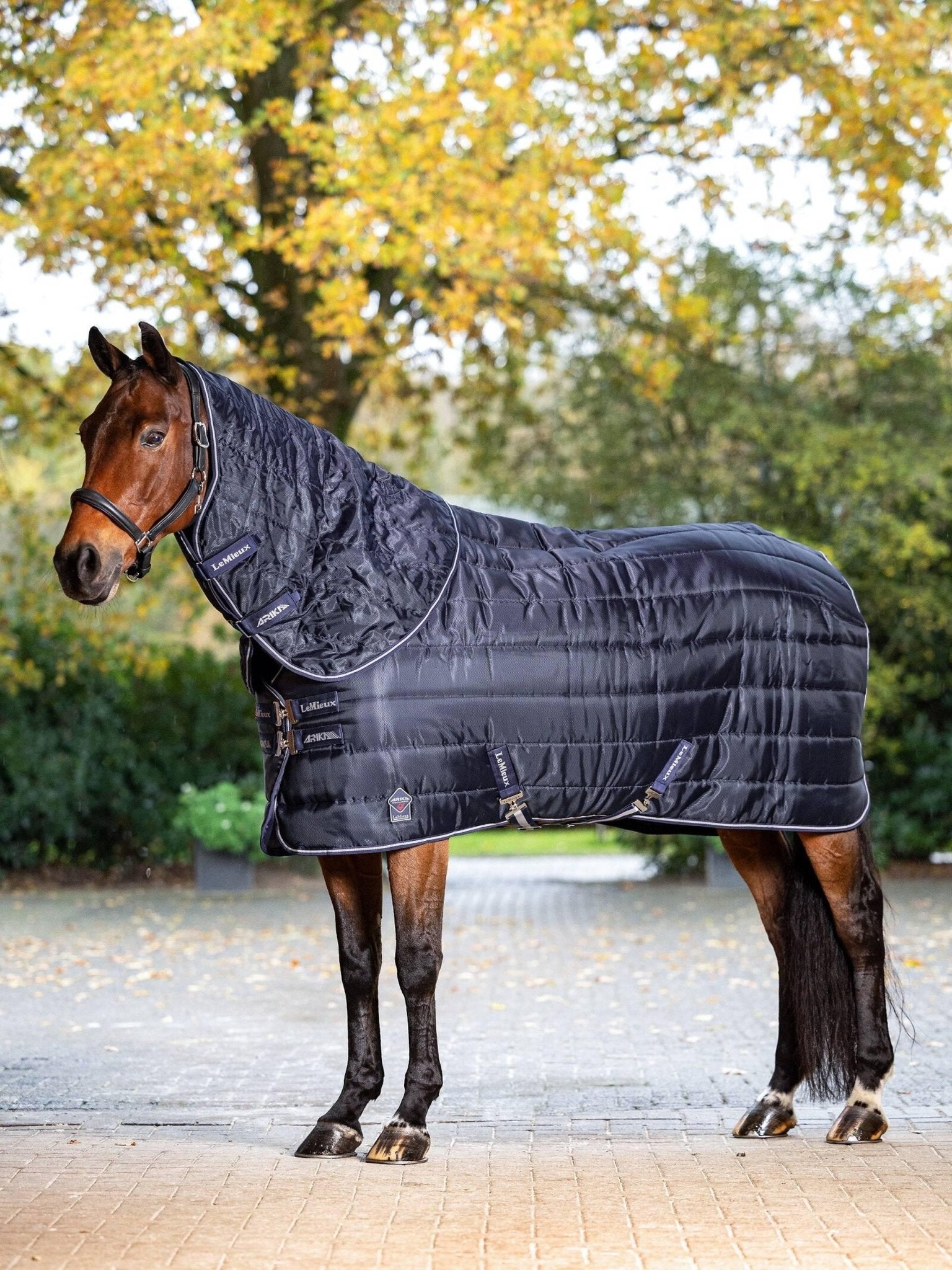 LeMieux Arika Stable-Tek 200g - Nags Essentials