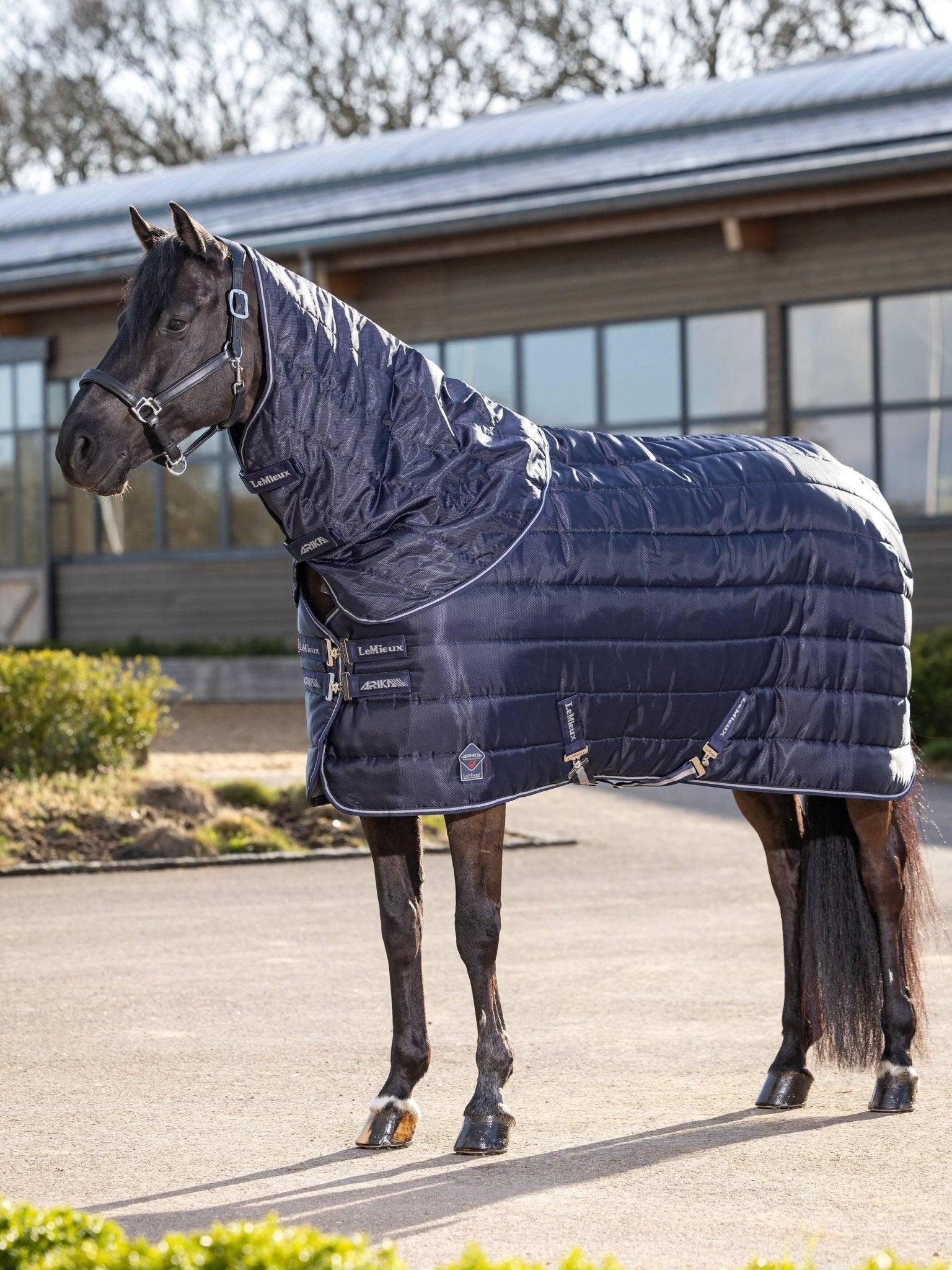 LeMieux Arika Stable - Tek 350g - Nags Essentials