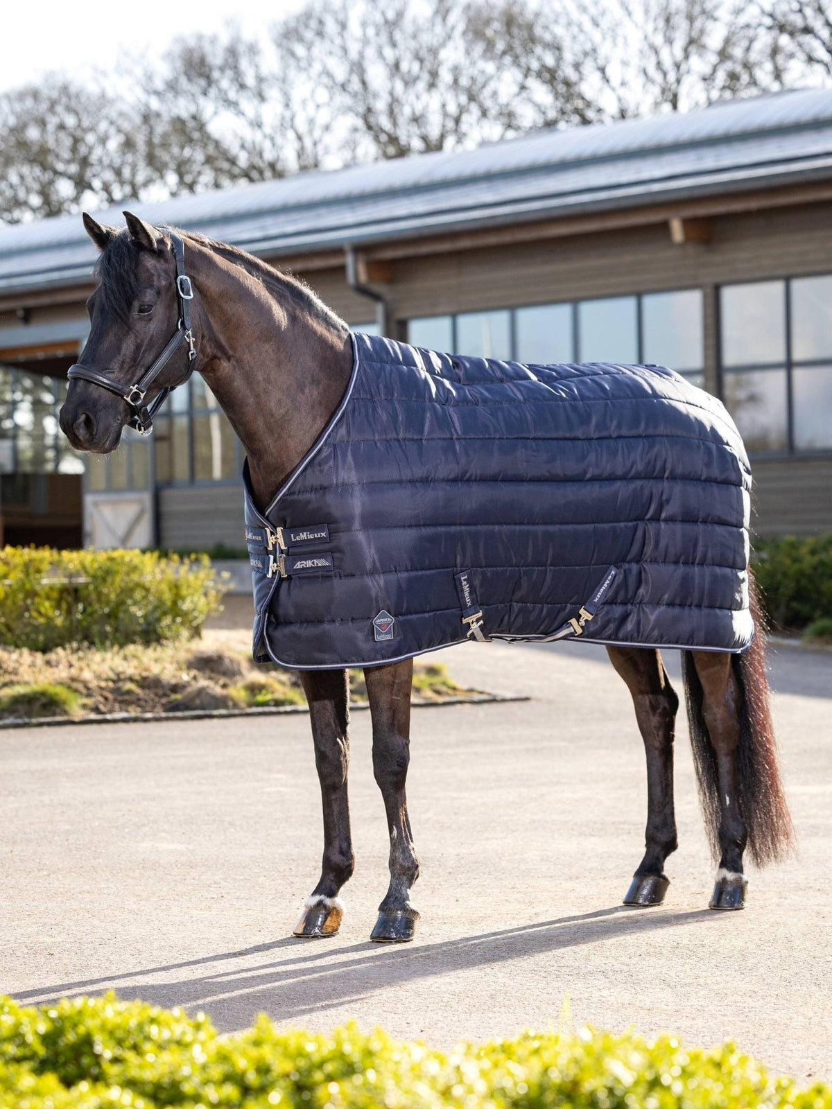 LeMieux Arika Stable - Tek 350g - Nags Essentials