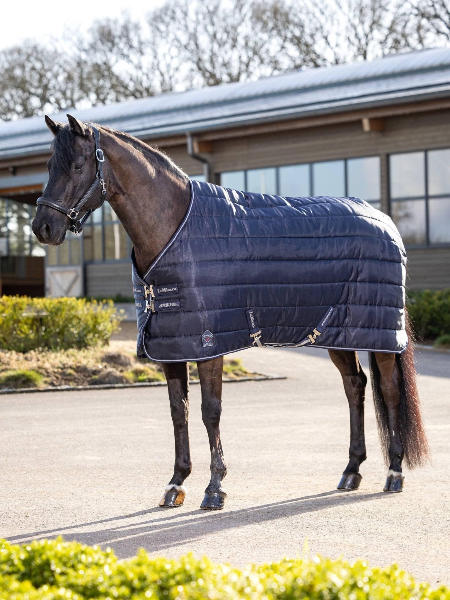 LeMieux Arika Stable - Tek 350g - Nags Essentials