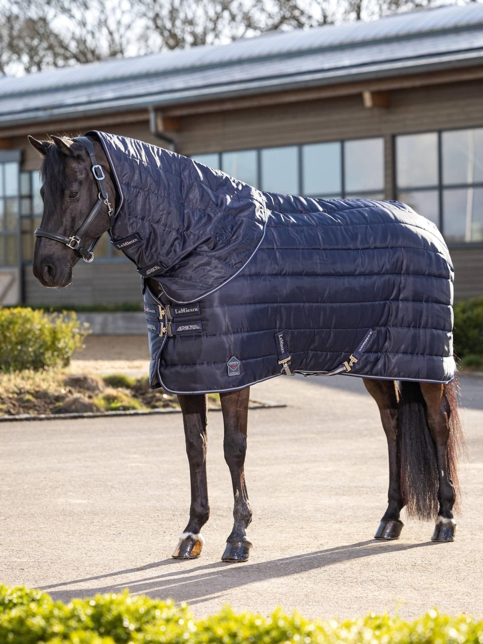 LeMieux Arika Stable - Tek Neck Cover 200g - Nags Essentials