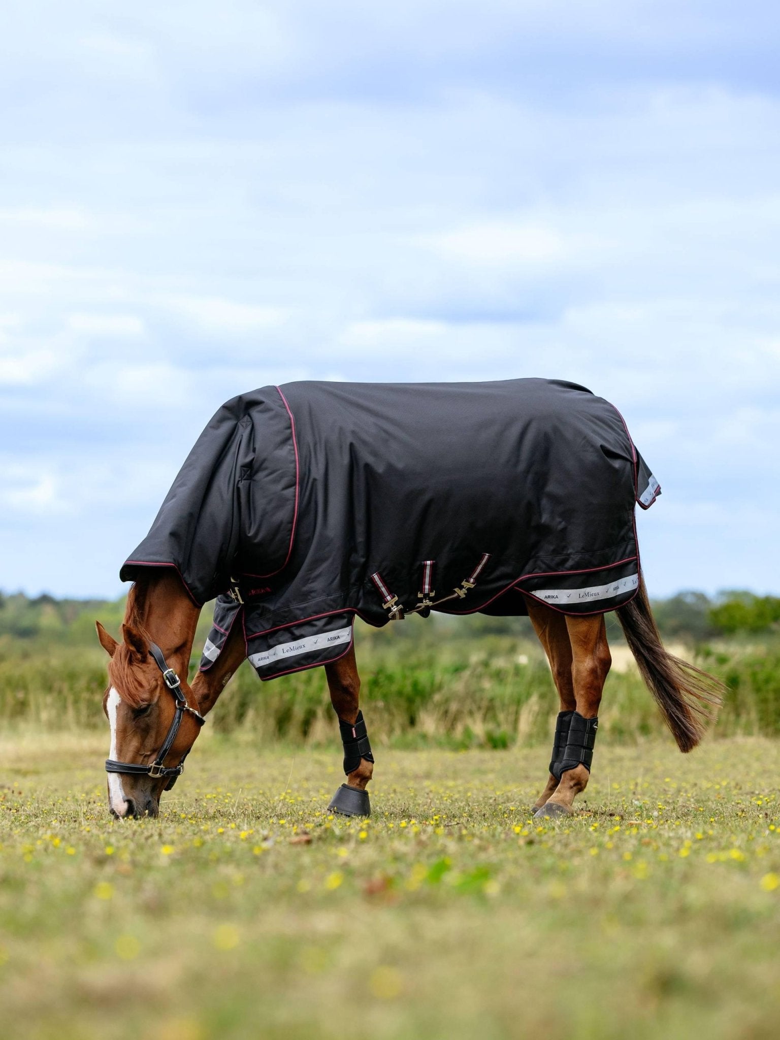 LeMieux Arika Storm - Tek Rug 100g - Nags Essentials