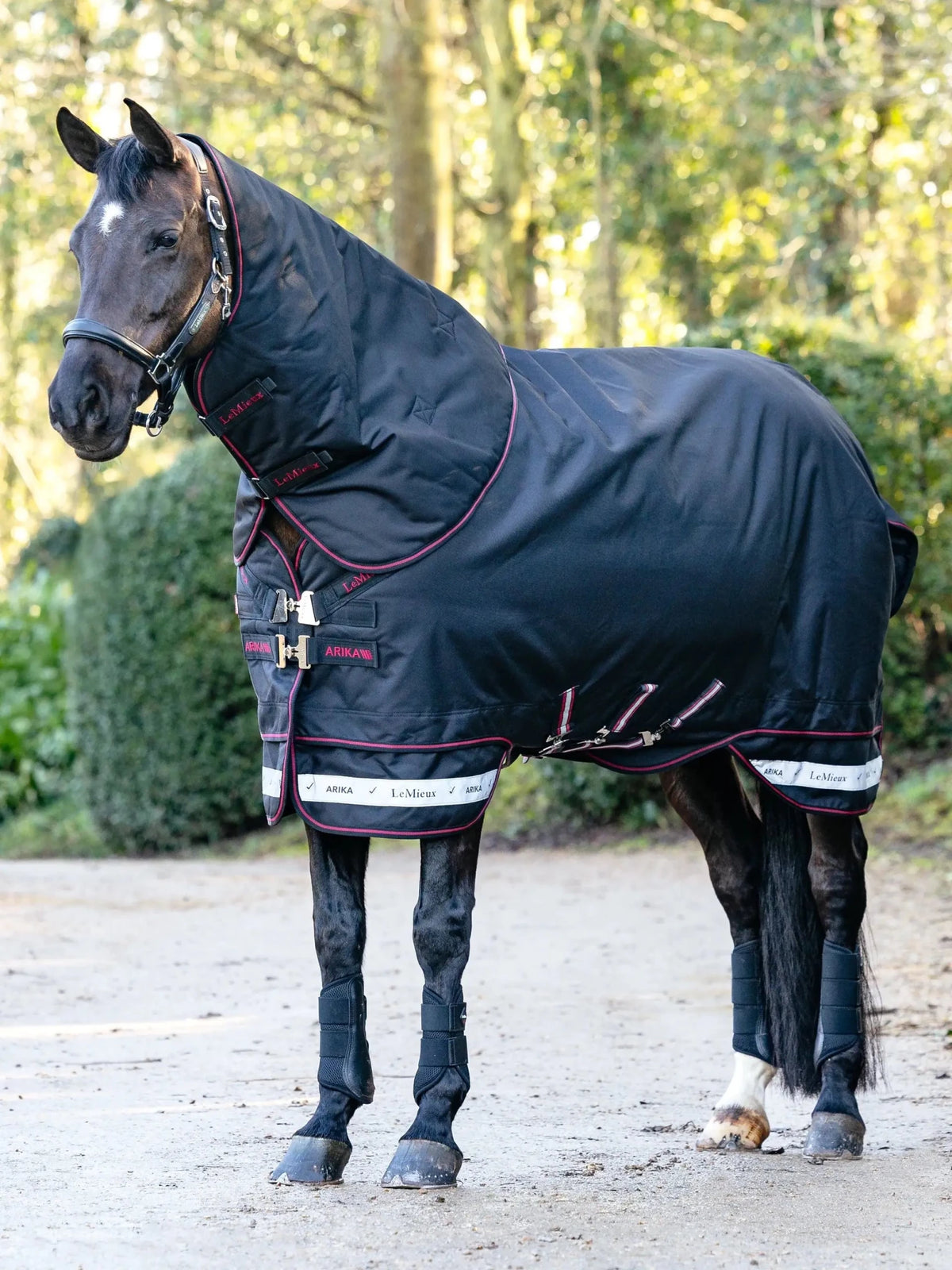 LeMieux Arika Storm - Tek Rug 100g - Nags Essentials
