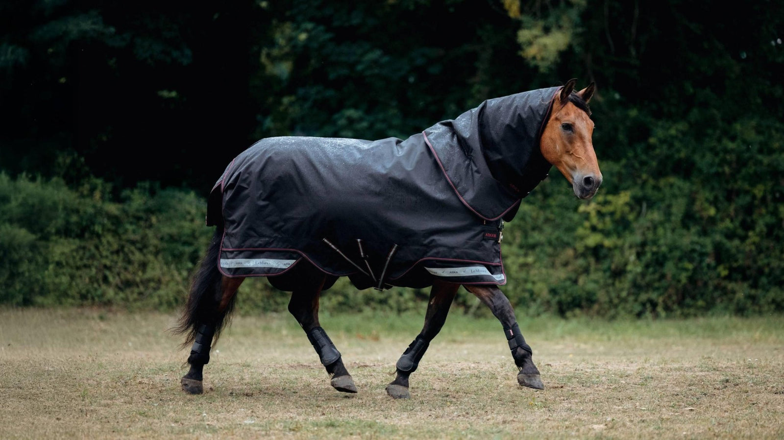 LeMieux Arika Storm - Tek Rug 100g - Nags Essentials