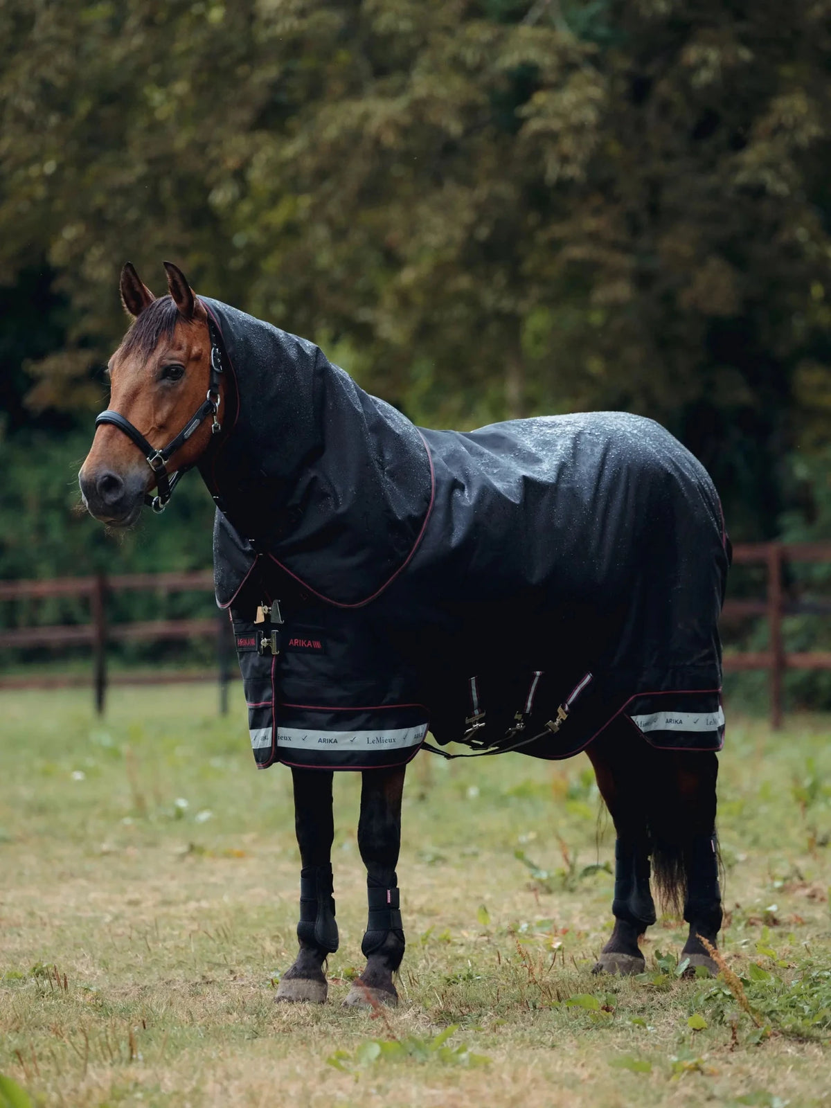 LeMieux Arika Storm - Tek Rug 200g - Nags Essentials