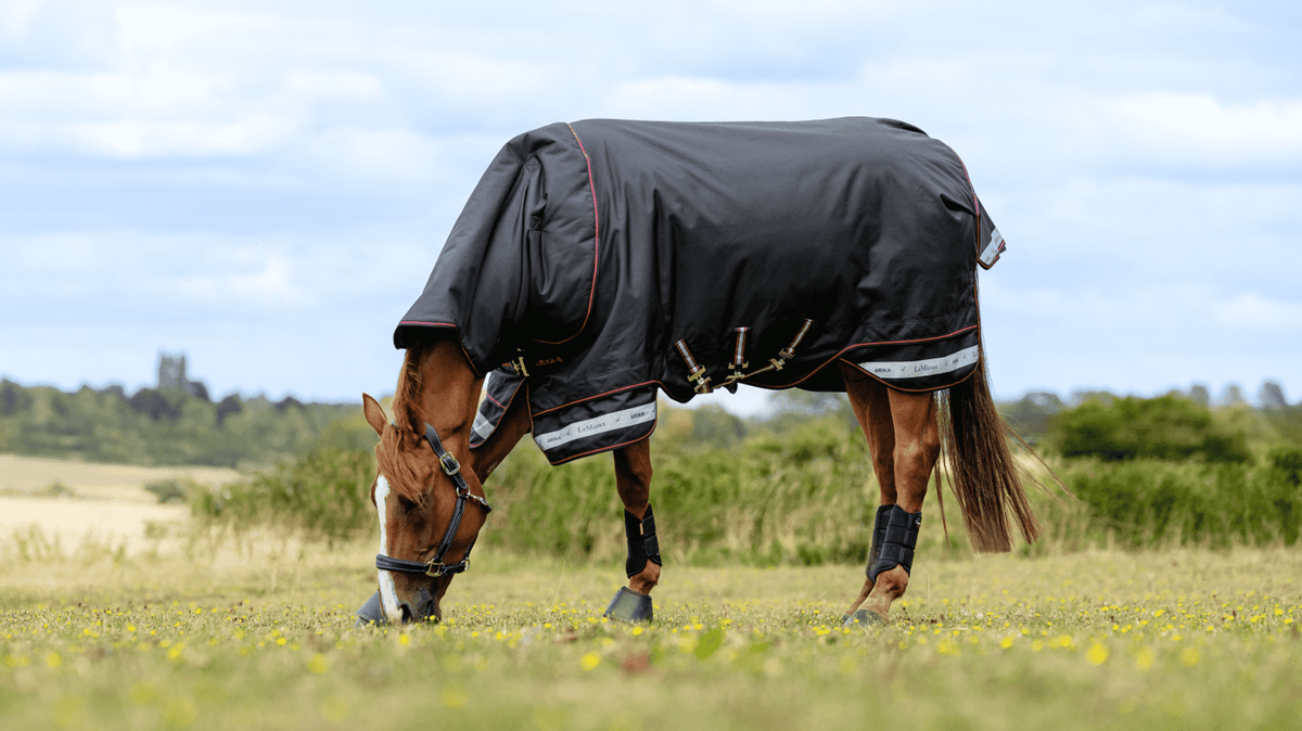 LeMieux Arika Storm - Tek Rug 200g - Nags Essentials