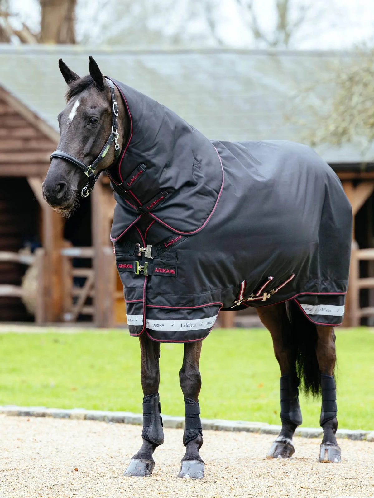 Lemieux Arika Storm - Tek Rug 350g - Nags Essentials