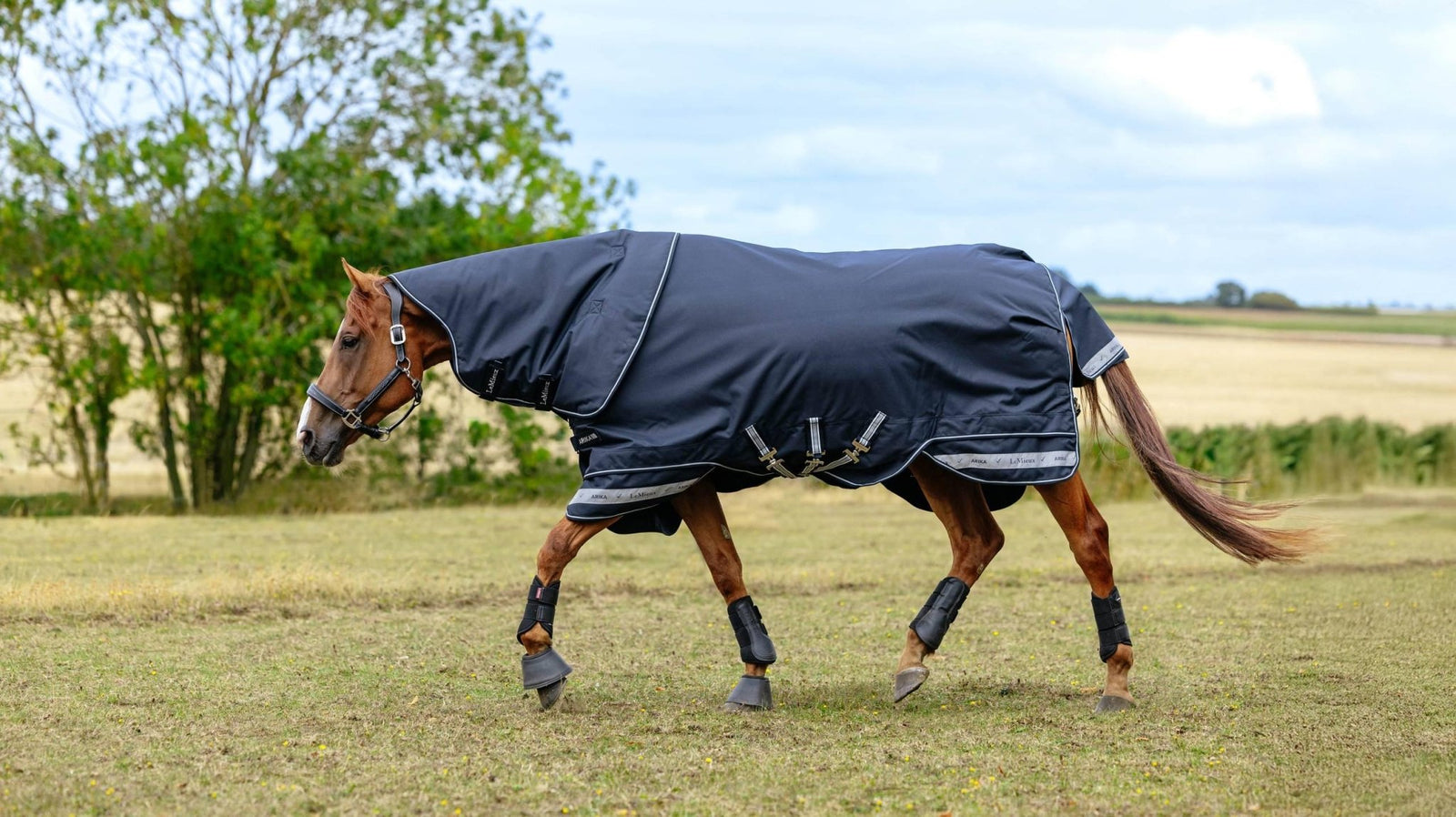 Lemieux Arika Storm - Tek Rug 350g - Nags Essentials
