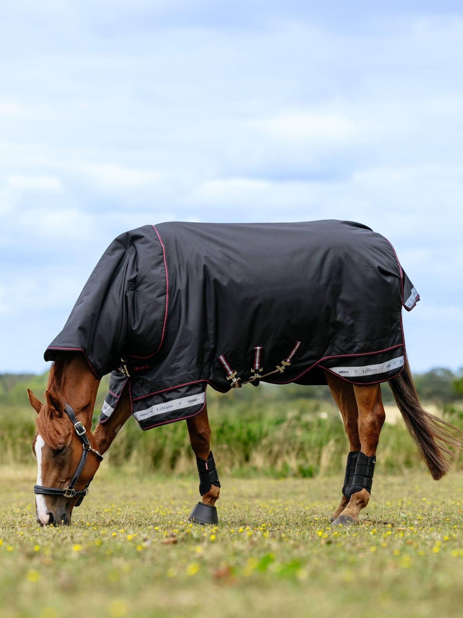 Lemieux Arika Storm - Tek Rug 350g - Nags Essentials