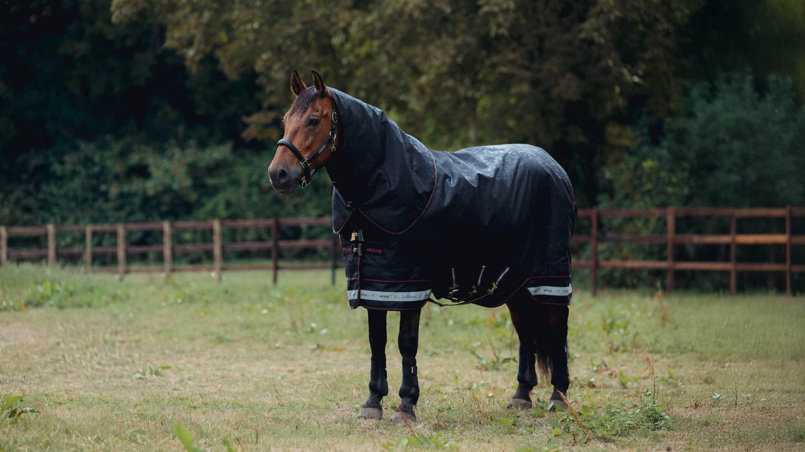 Lemieux Arika Storm - Tek Rug 350g - Nags Essentials