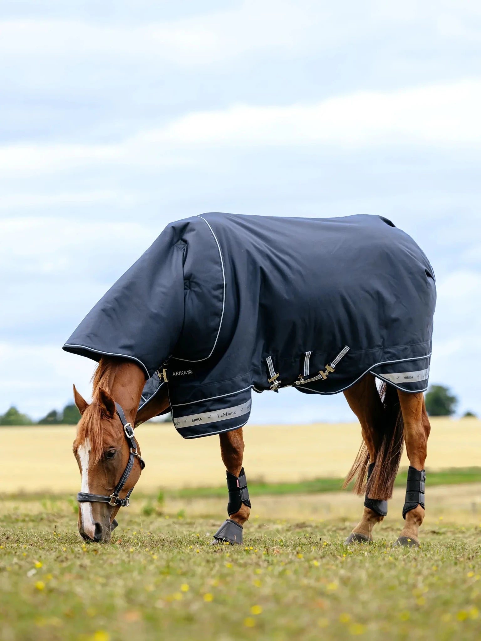 Lemieux Arika Storm - Tek Rug 350g - Nags Essentials