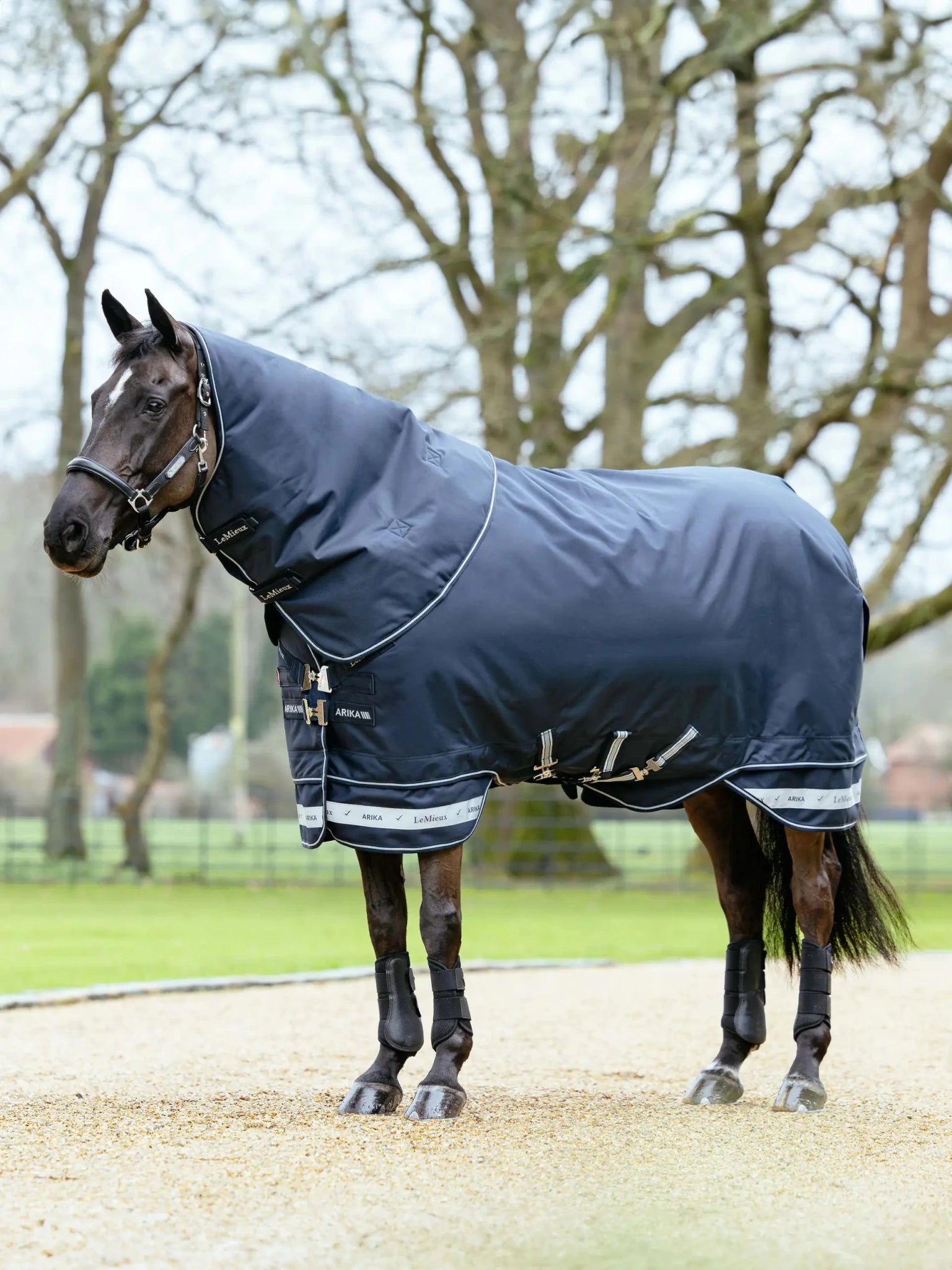 Lemieux Arika Storm - Tek Rug 350g - Nags Essentials