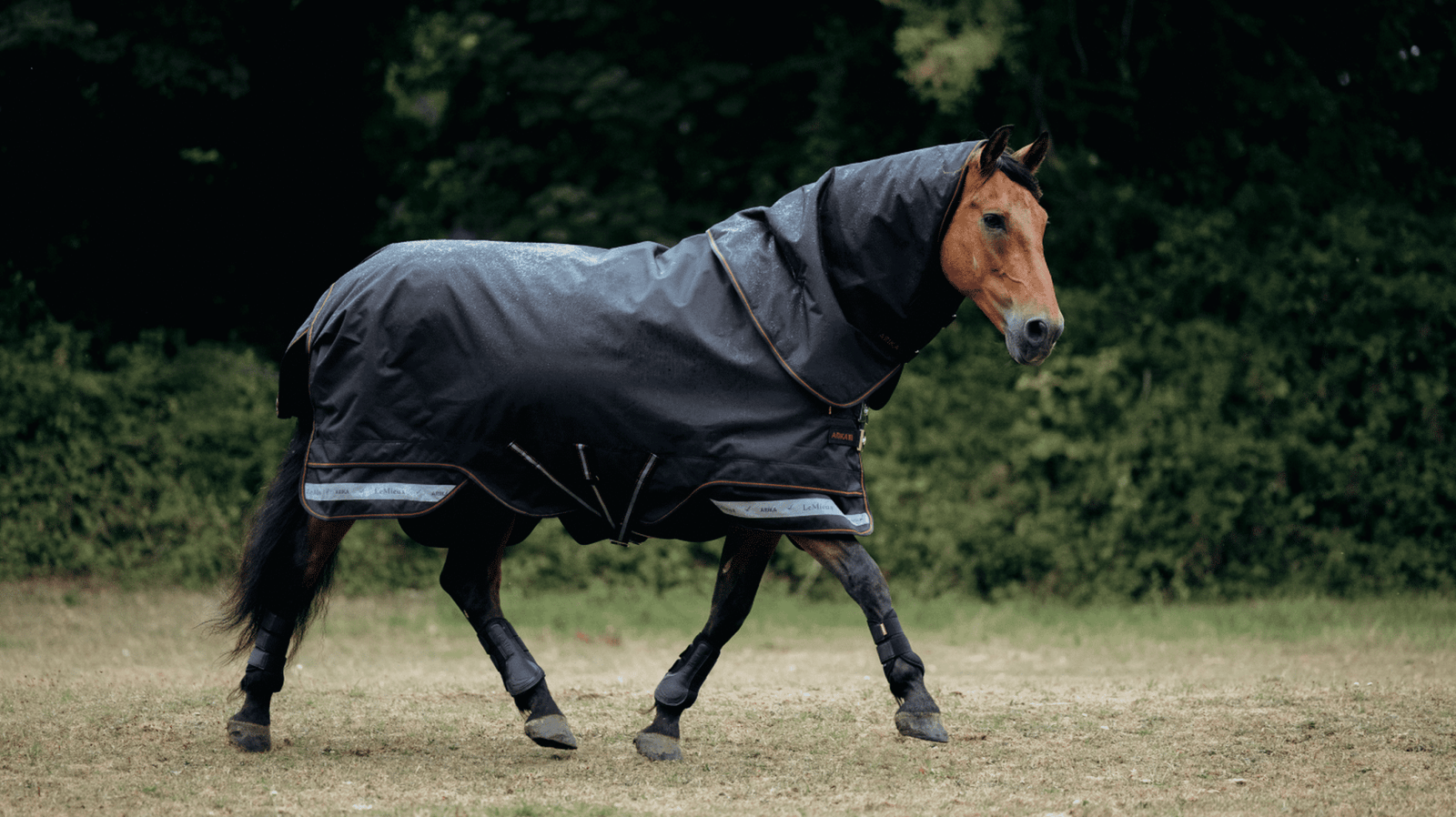 LeMieux Arika Storm - Tek Rug 50g - Nags Essentials