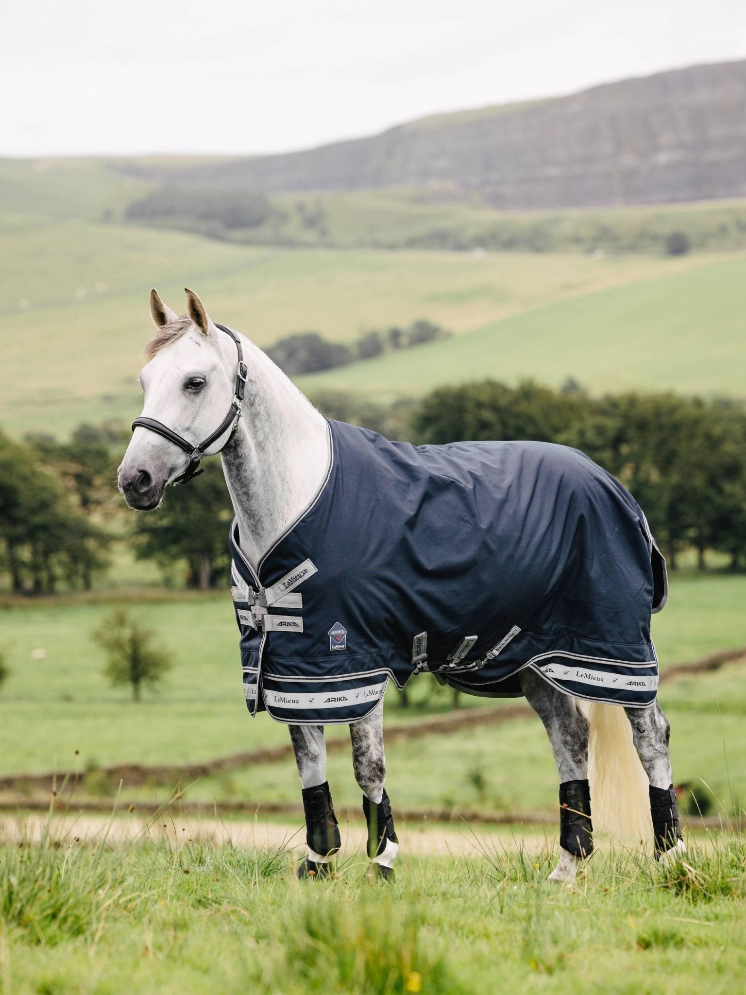LeMieux Arika Storm - Tek Rug 50g - Nags Essentials