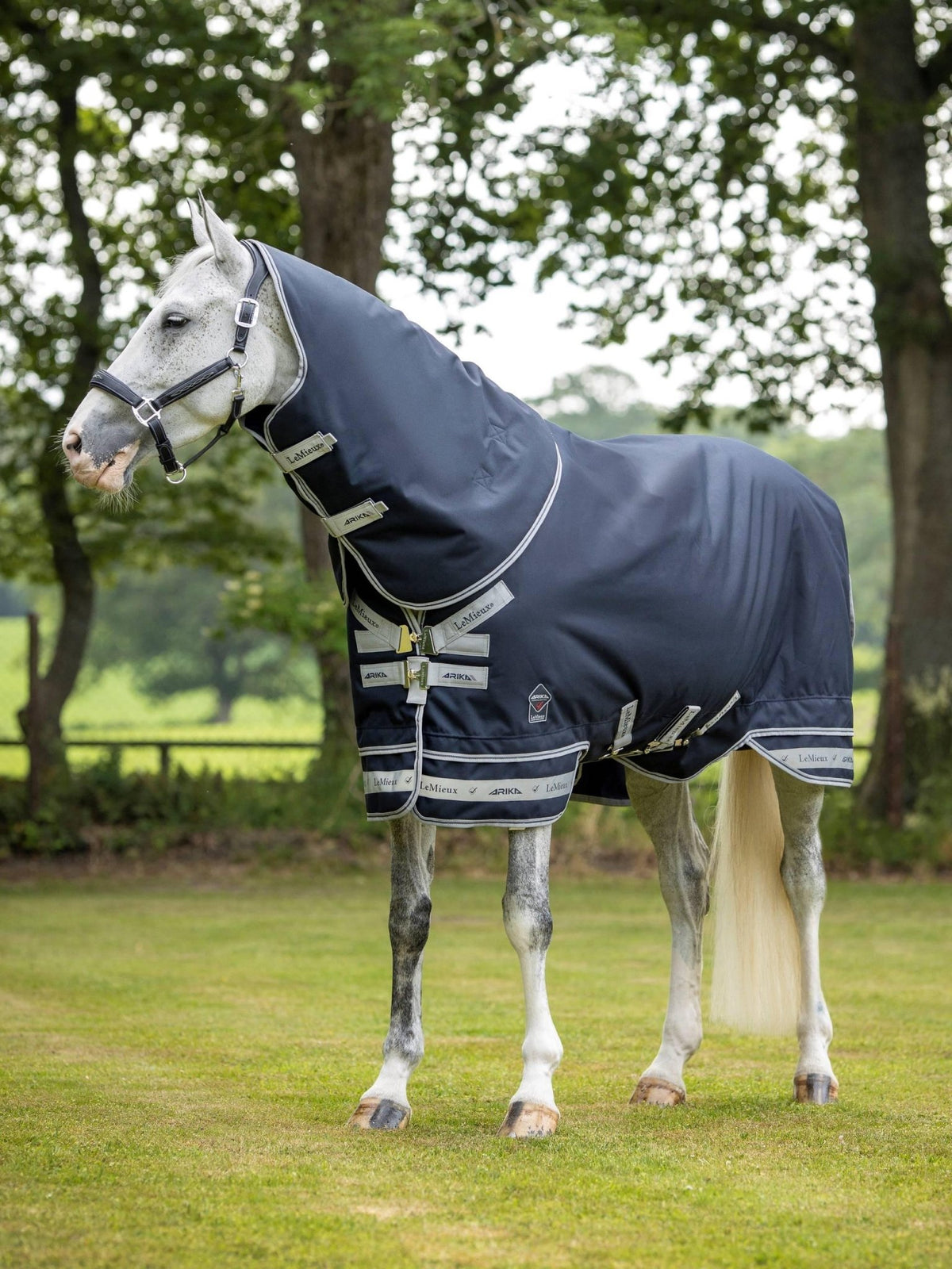 LeMieux Arika Storm - Tek Rug 50g - Nags Essentials