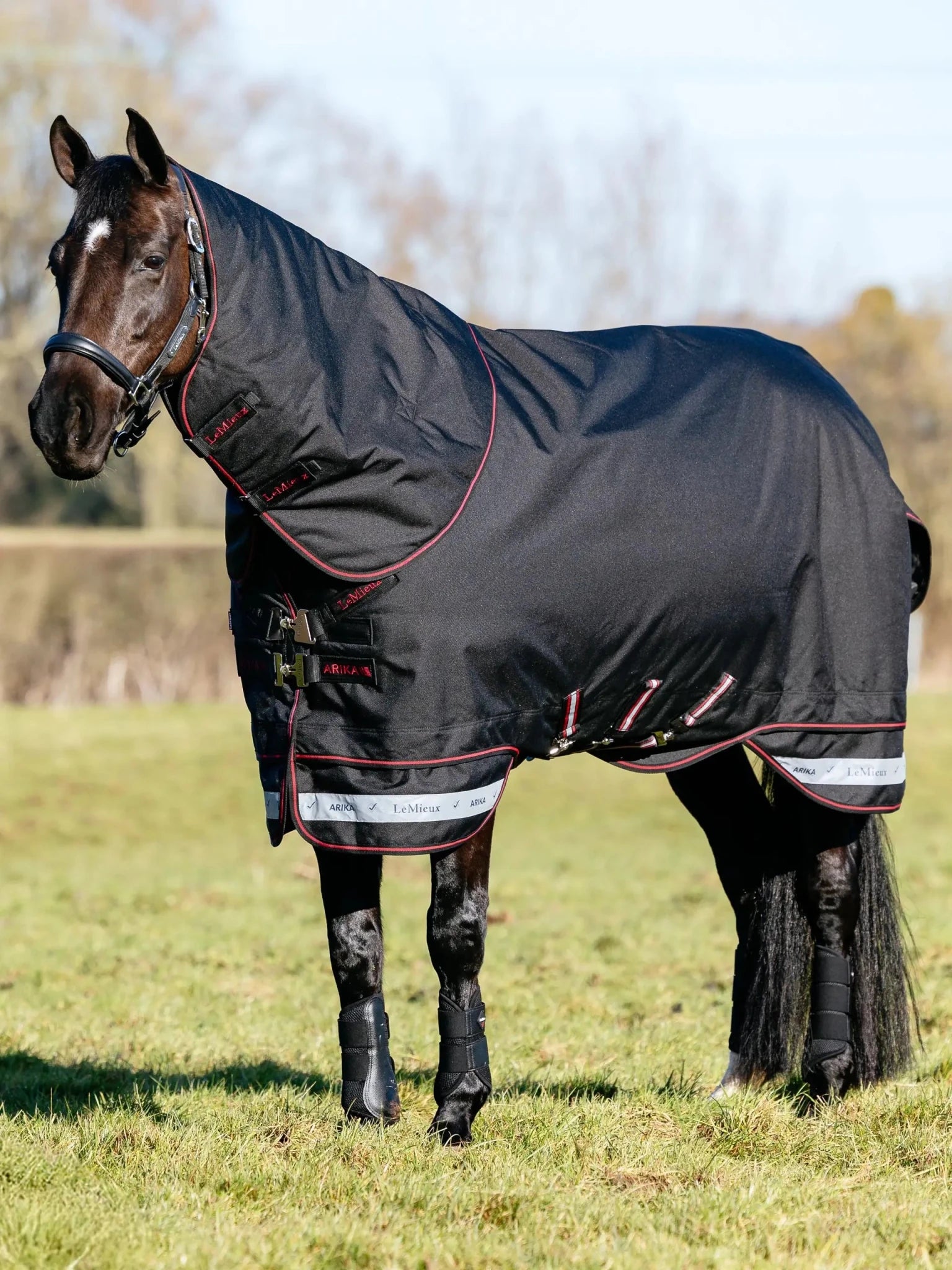 LeMieux Arika Storm - Tek Rug 50g - Nags Essentials