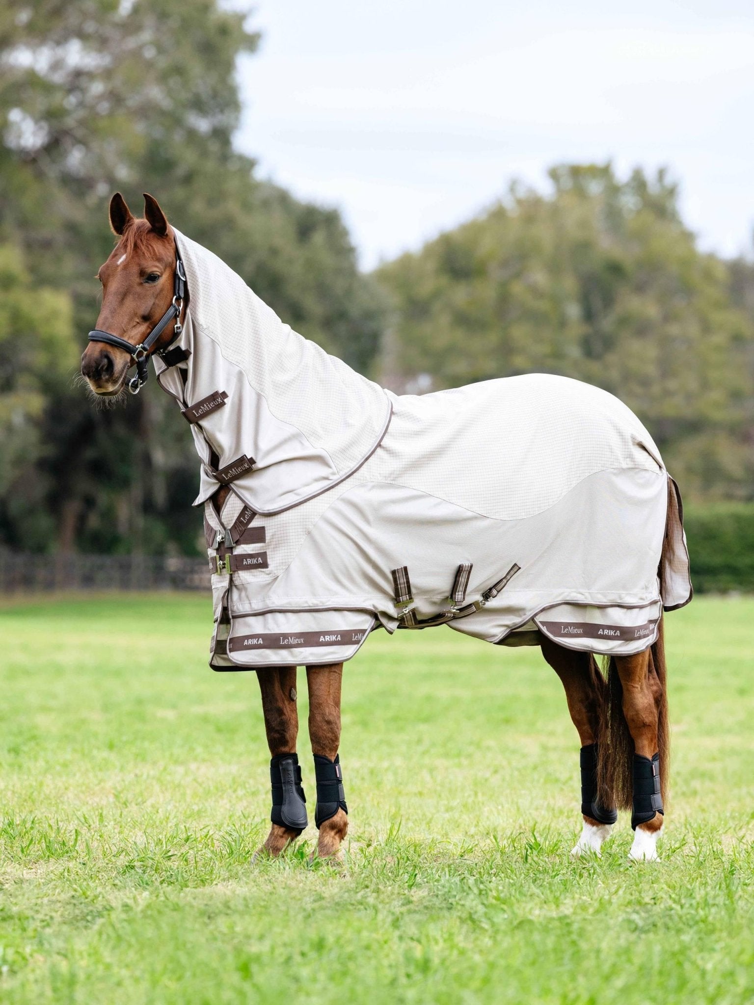 LeMieux Arika Sunstopper Sheet - Stone - Nags Essentials