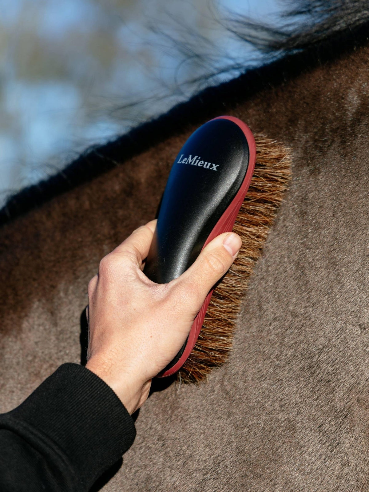 Lemieux Body Brush Black - Nags Essentials