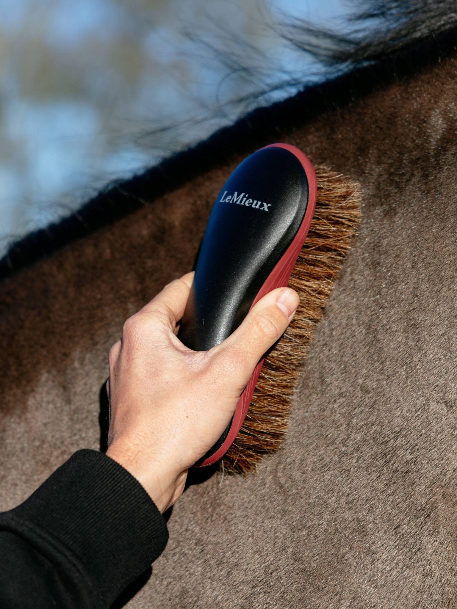 Lemieux Body Brush Black - Nags Essentials