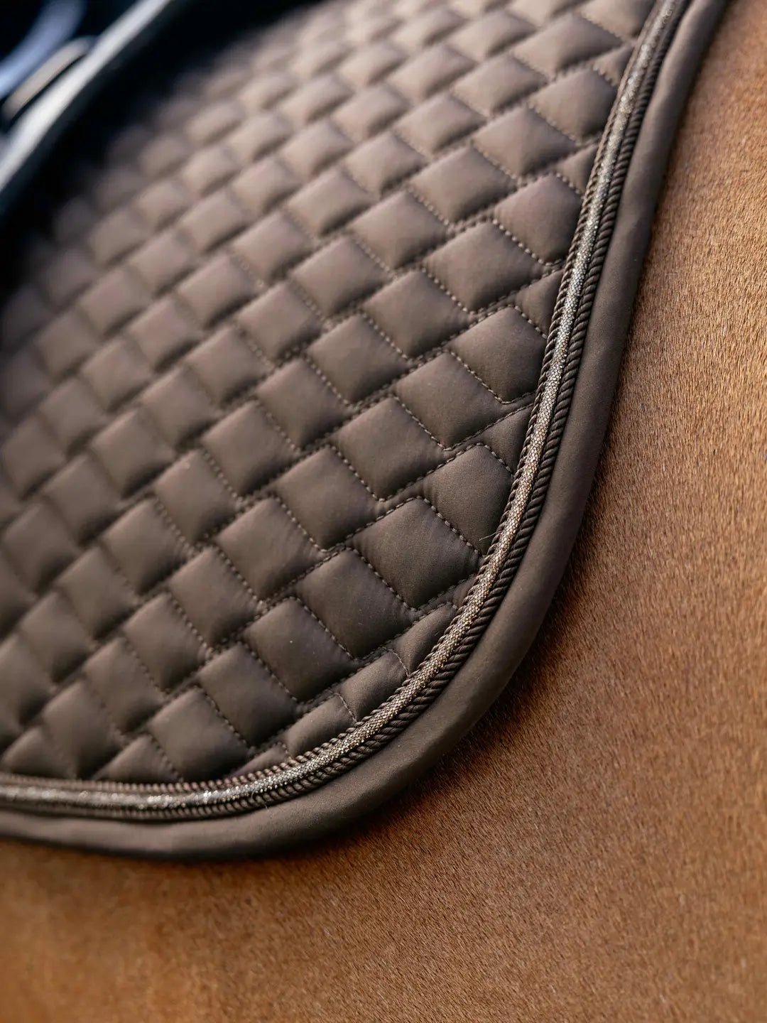 LeMieux Brilliance Dressage Square - Nags Essentials