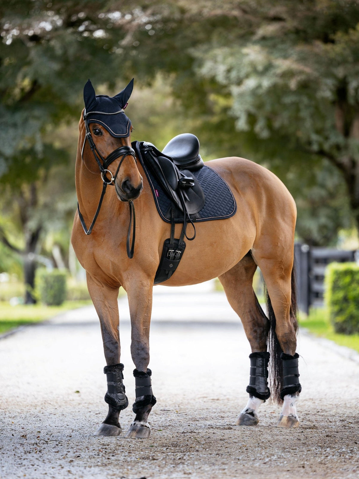 LeMieux Brilliance Dressage Square - Nags Essentials