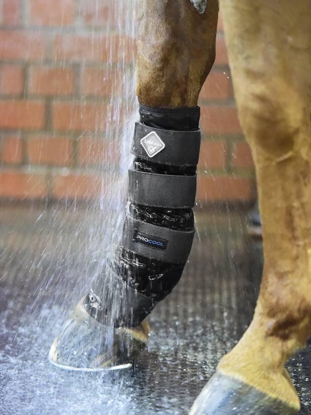 LeMieux Cold Water Boots - Nags Essentials