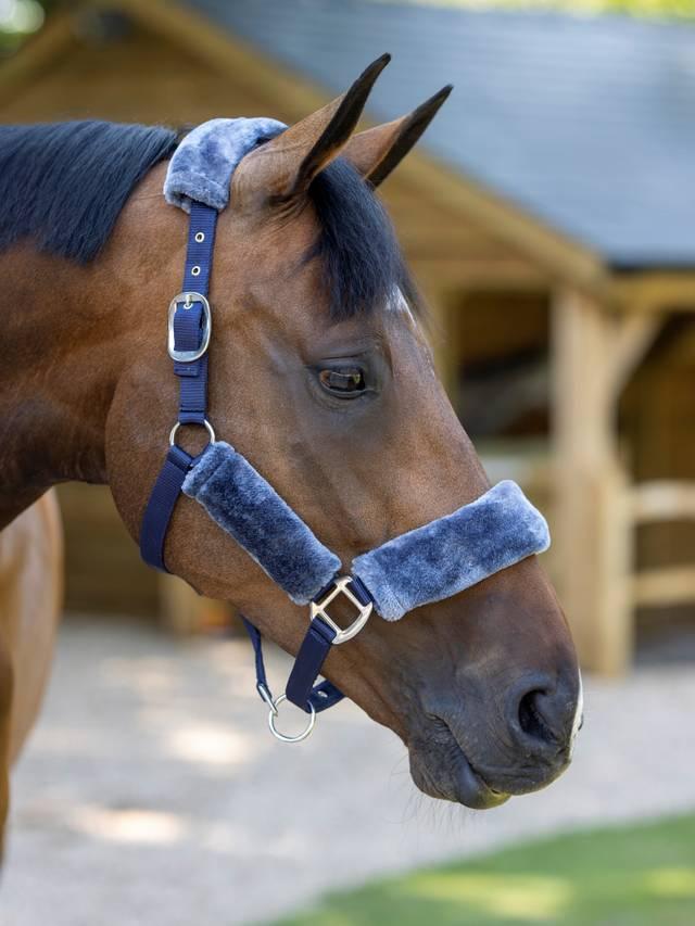 LeMieux Comfort Headcollar - Nags Essentials