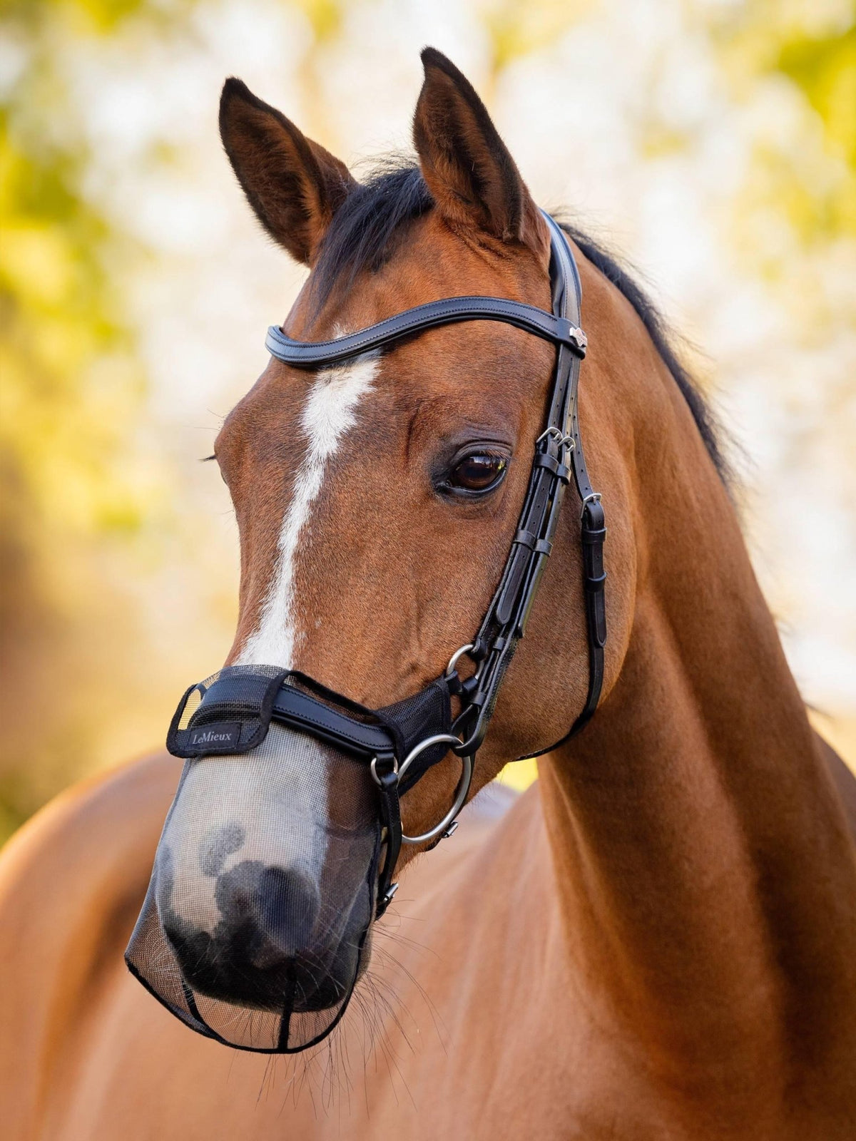 LeMieux Comfort Shield Drop Nose Filter - Nags Essentials
