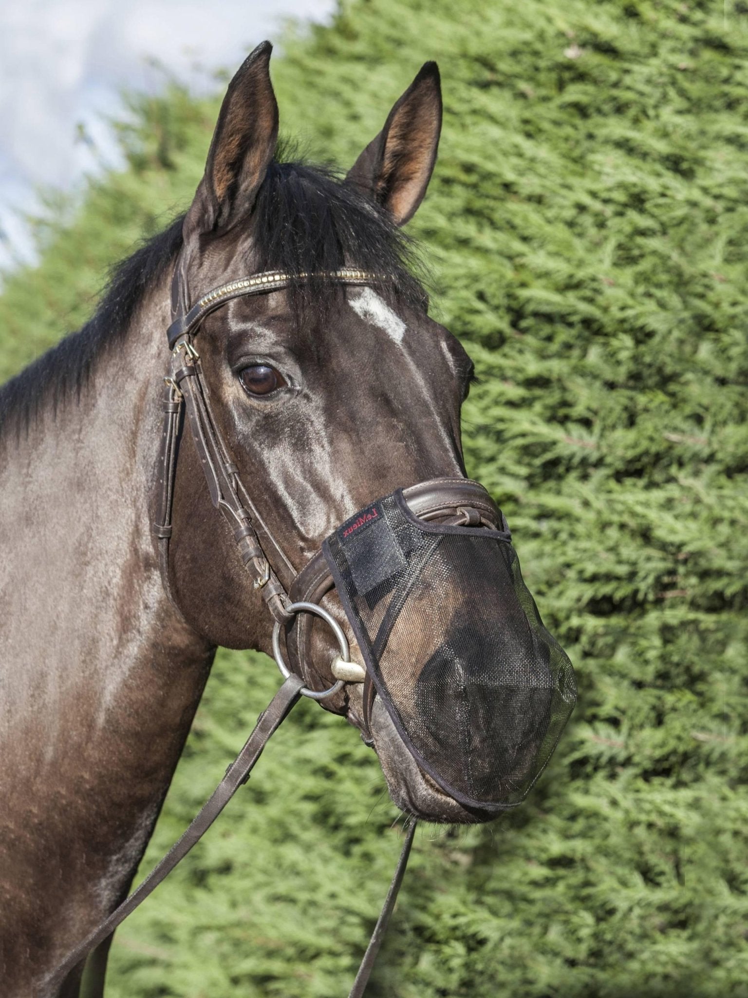 LeMieux Comfort Shield Nose Filter 2pk - Nags Essentials