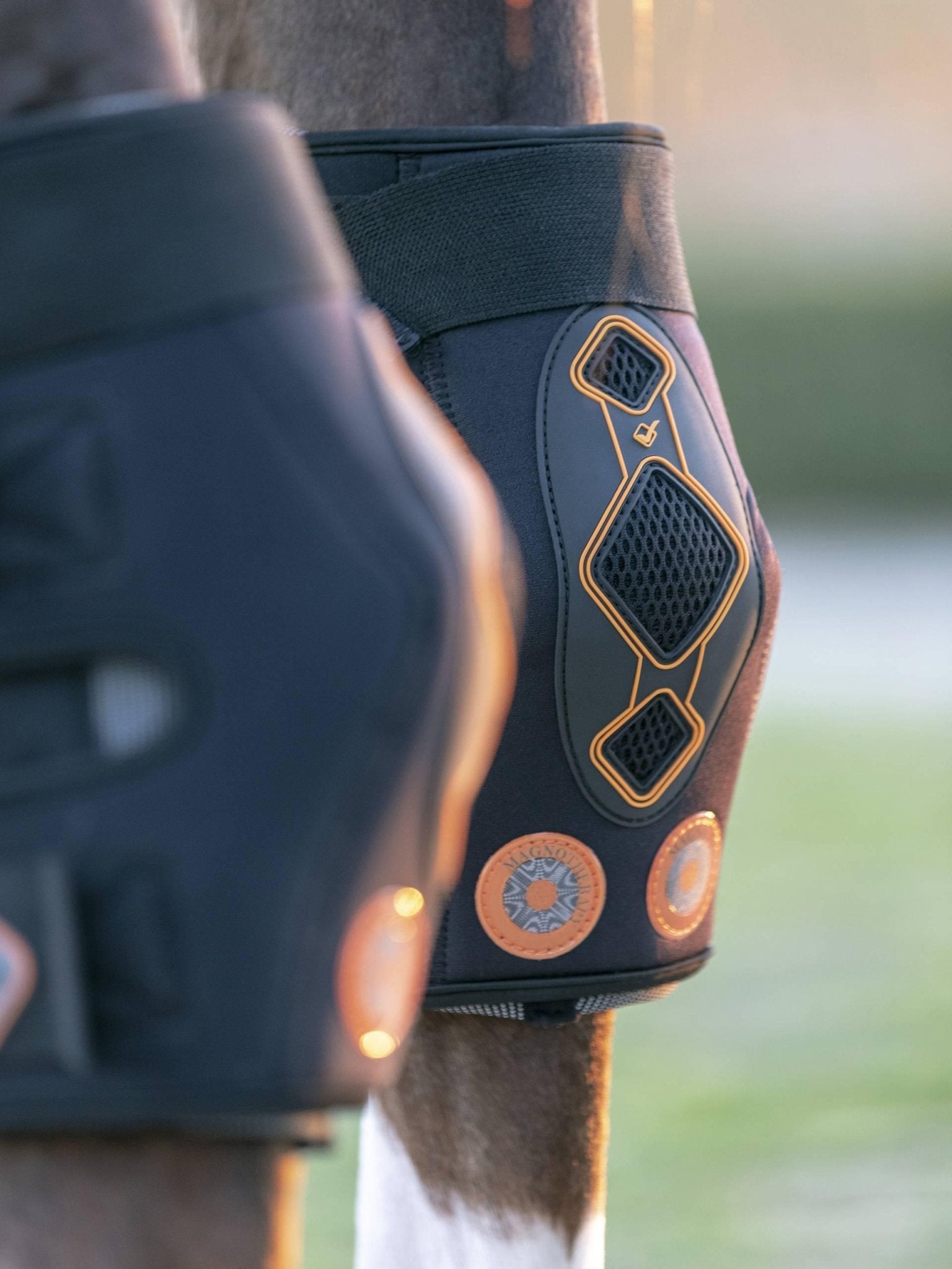 LeMieux Conductive Magno Hock Boots - Nags Essentials