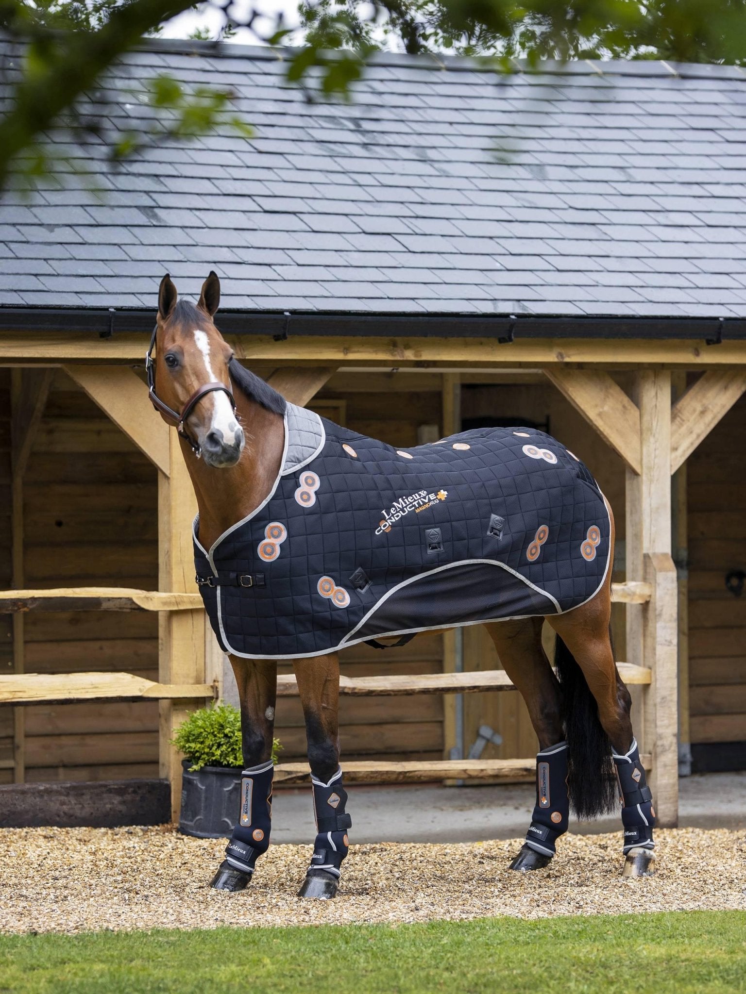 LeMieux Conductive Magno Rug - Nags Essentials