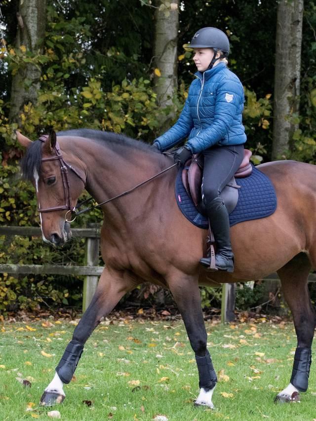 LeMieux Cotton GP Square - Nags Essentials