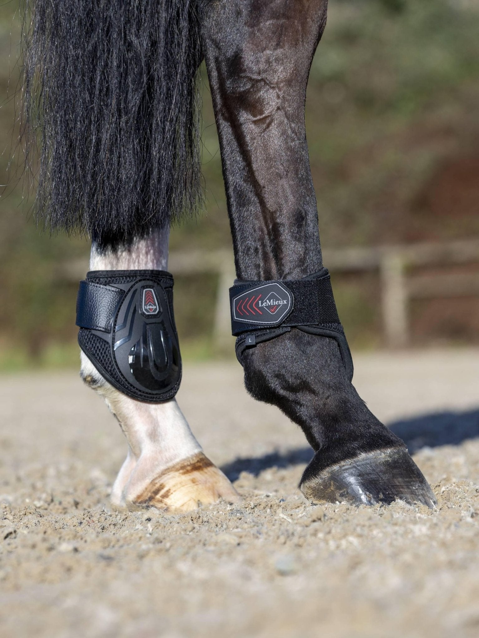 LeMieux Derby ProJump Fetlock Boot - Nags Essentials
