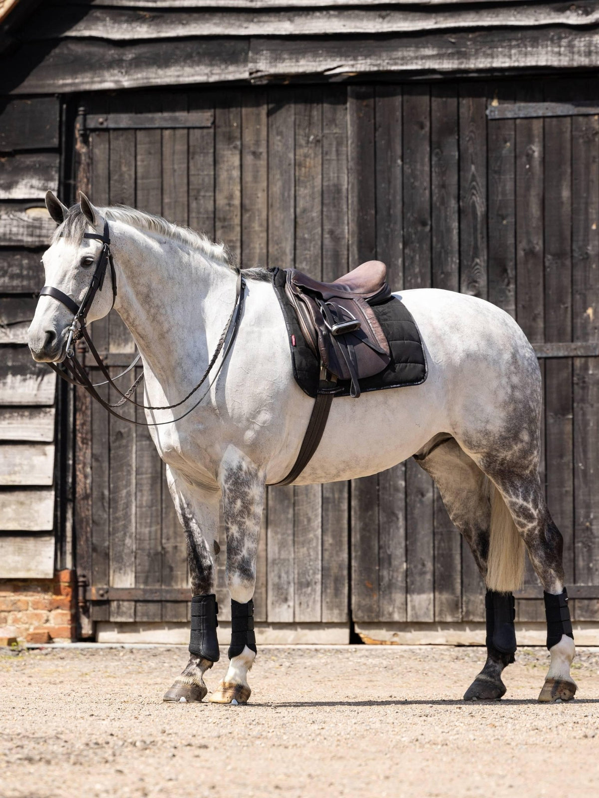 LeMieux Dressage Work Pad - Nags Essentials