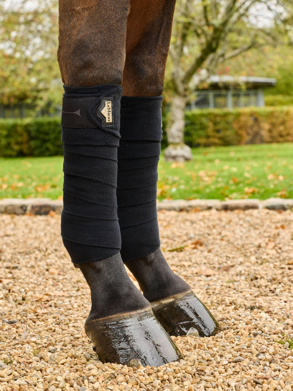 Lemieux Elevate Polo Bandages - Nags Essentials