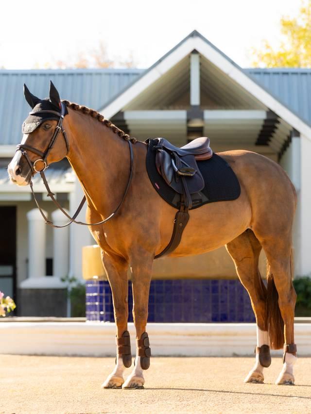 Lemieux Essence Eurojump Square - Nags Essentials