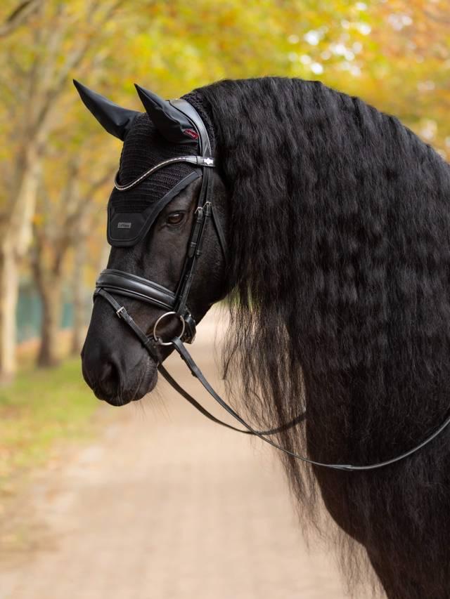 Lemieux Essence Fly Hood - Nags Essentials