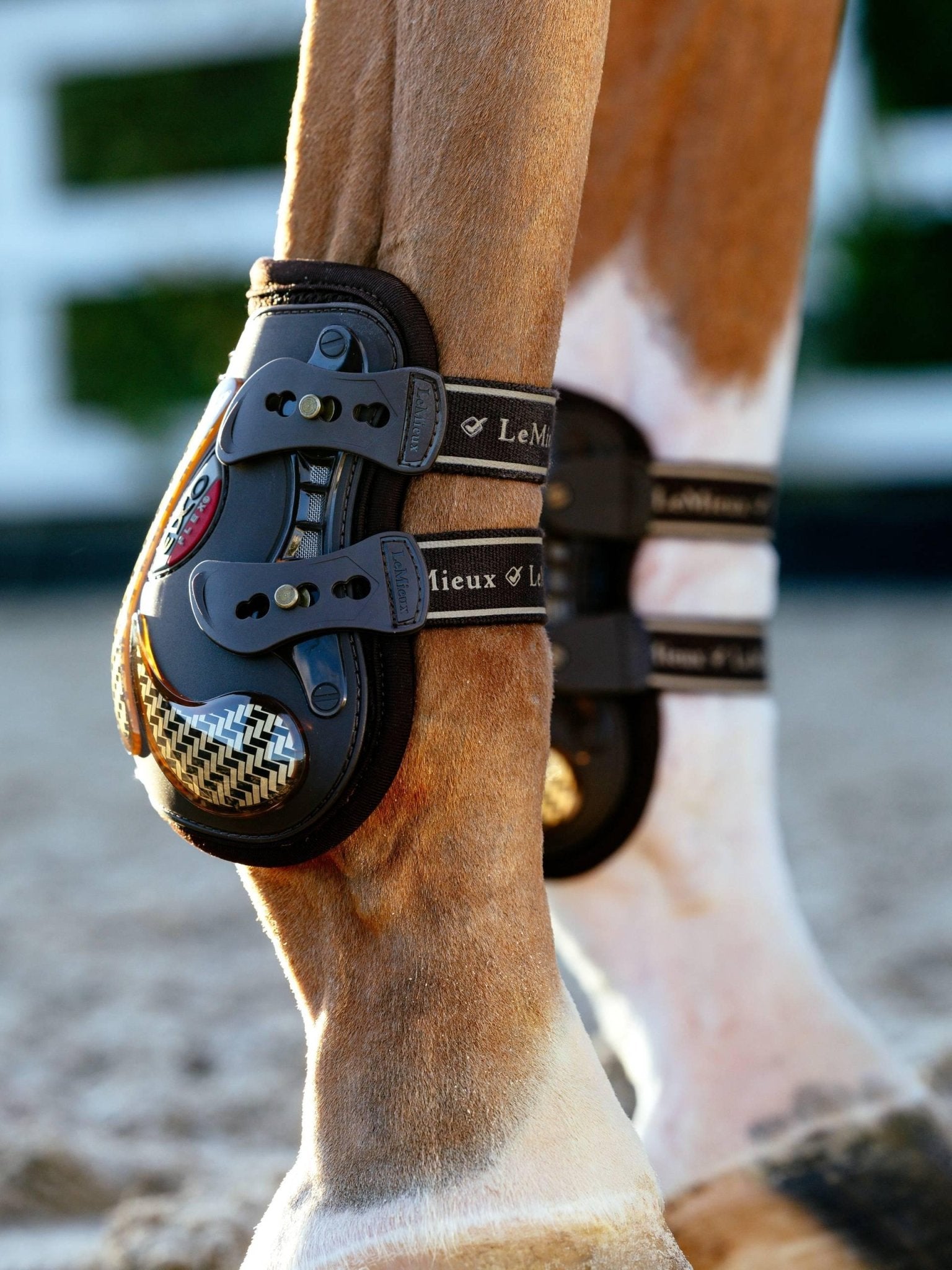 LeMieux Exo - Flex® Ankle Boot - Nags Essentials